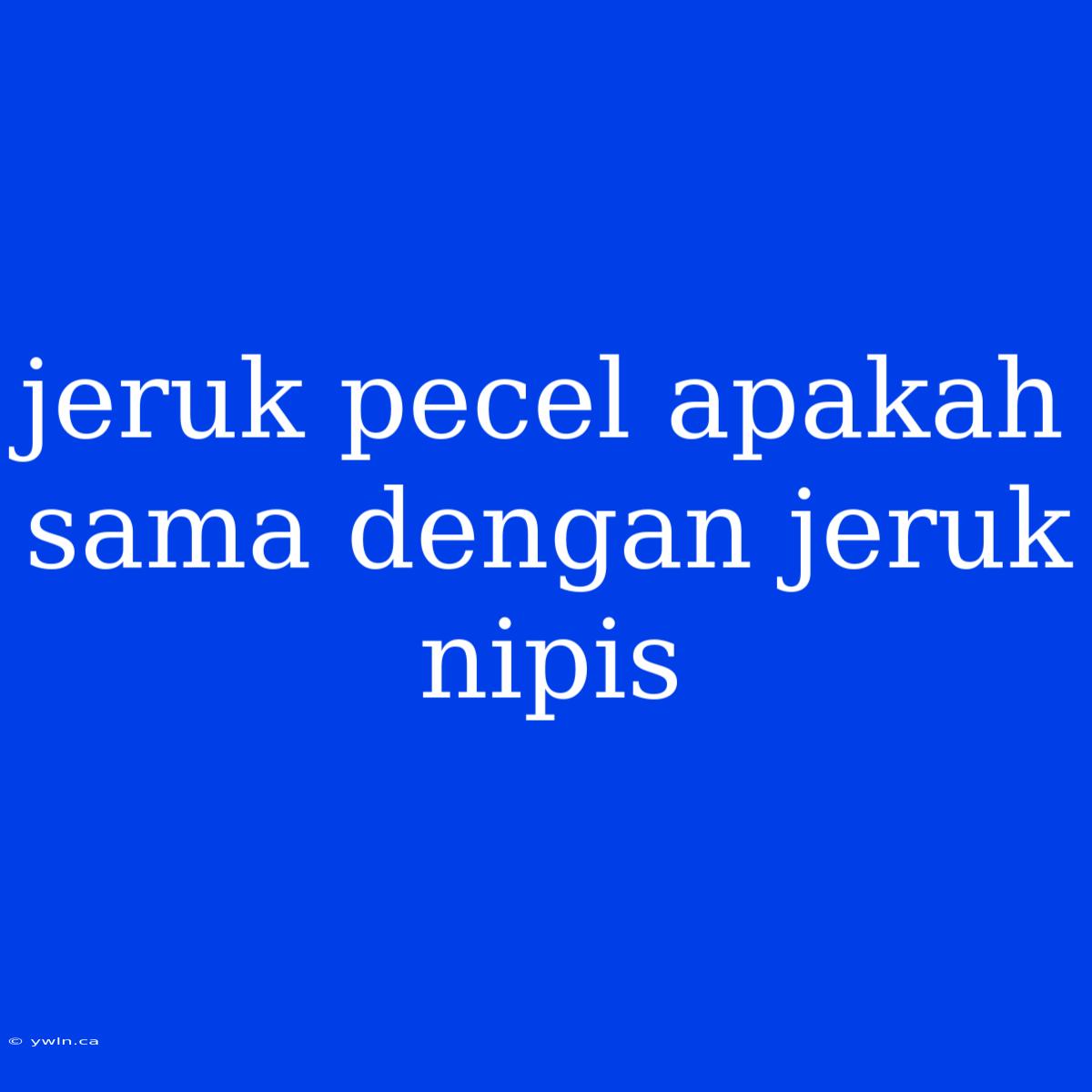 Jeruk Pecel Apakah Sama Dengan Jeruk Nipis