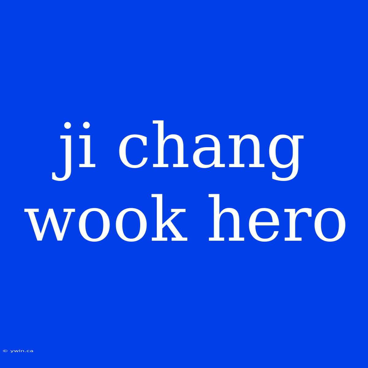 Ji Chang Wook Hero