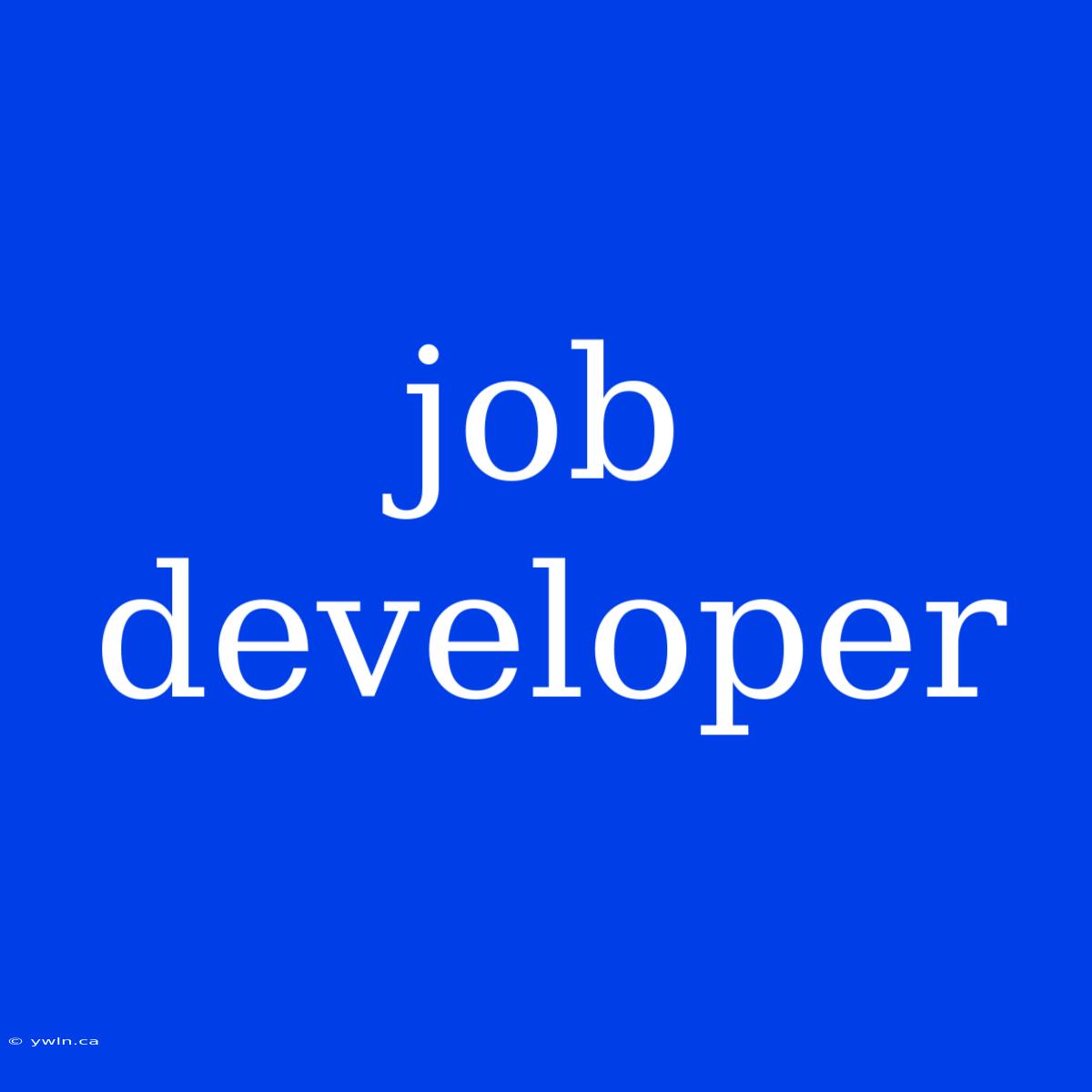 Job Developer