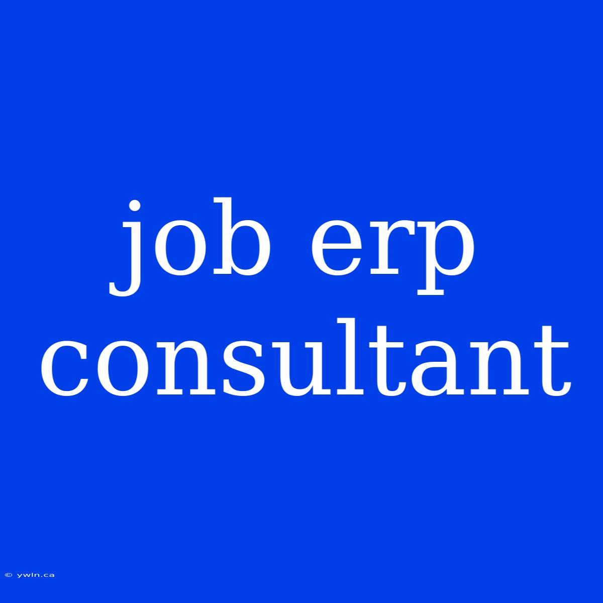 Job Erp Consultant