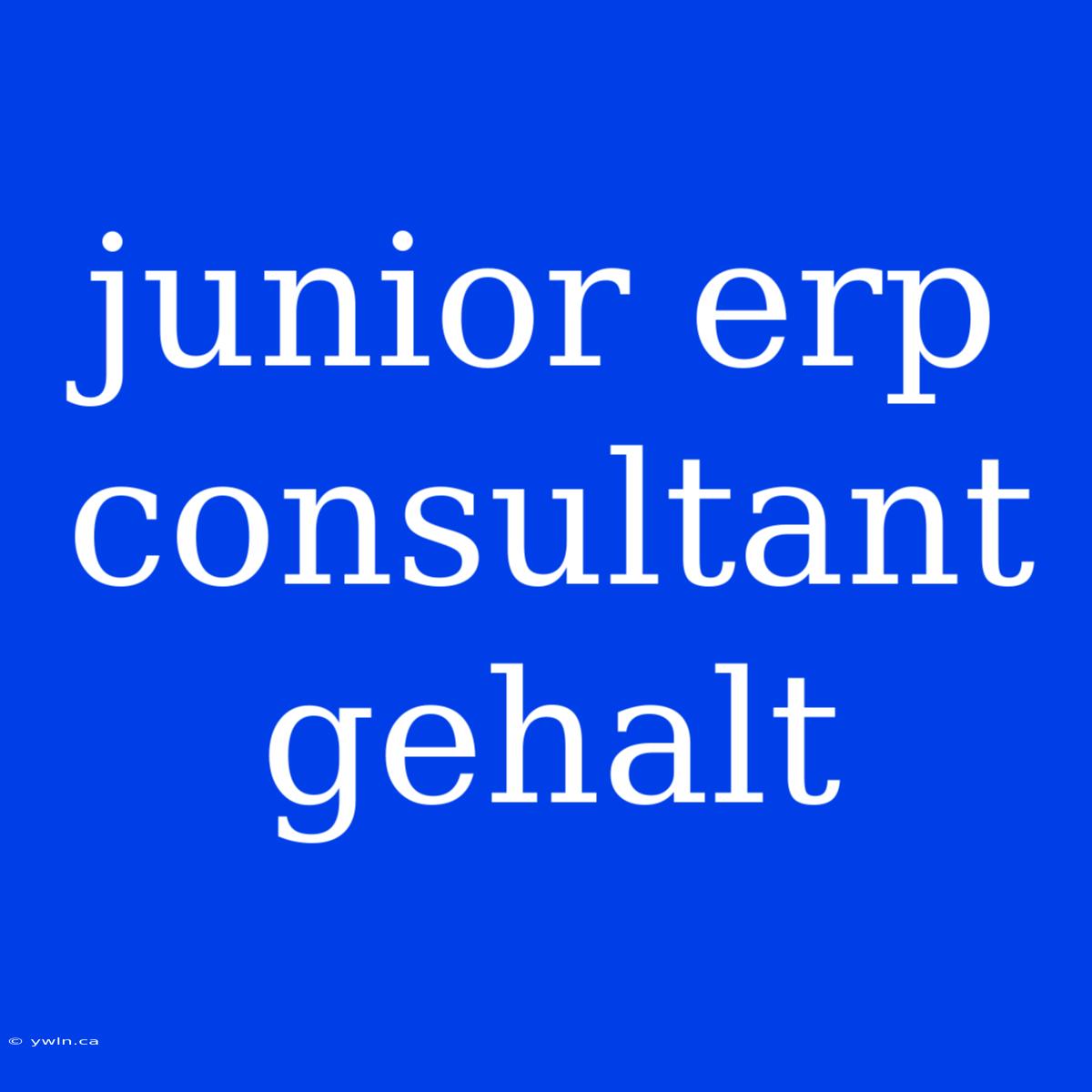 Junior Erp Consultant Gehalt