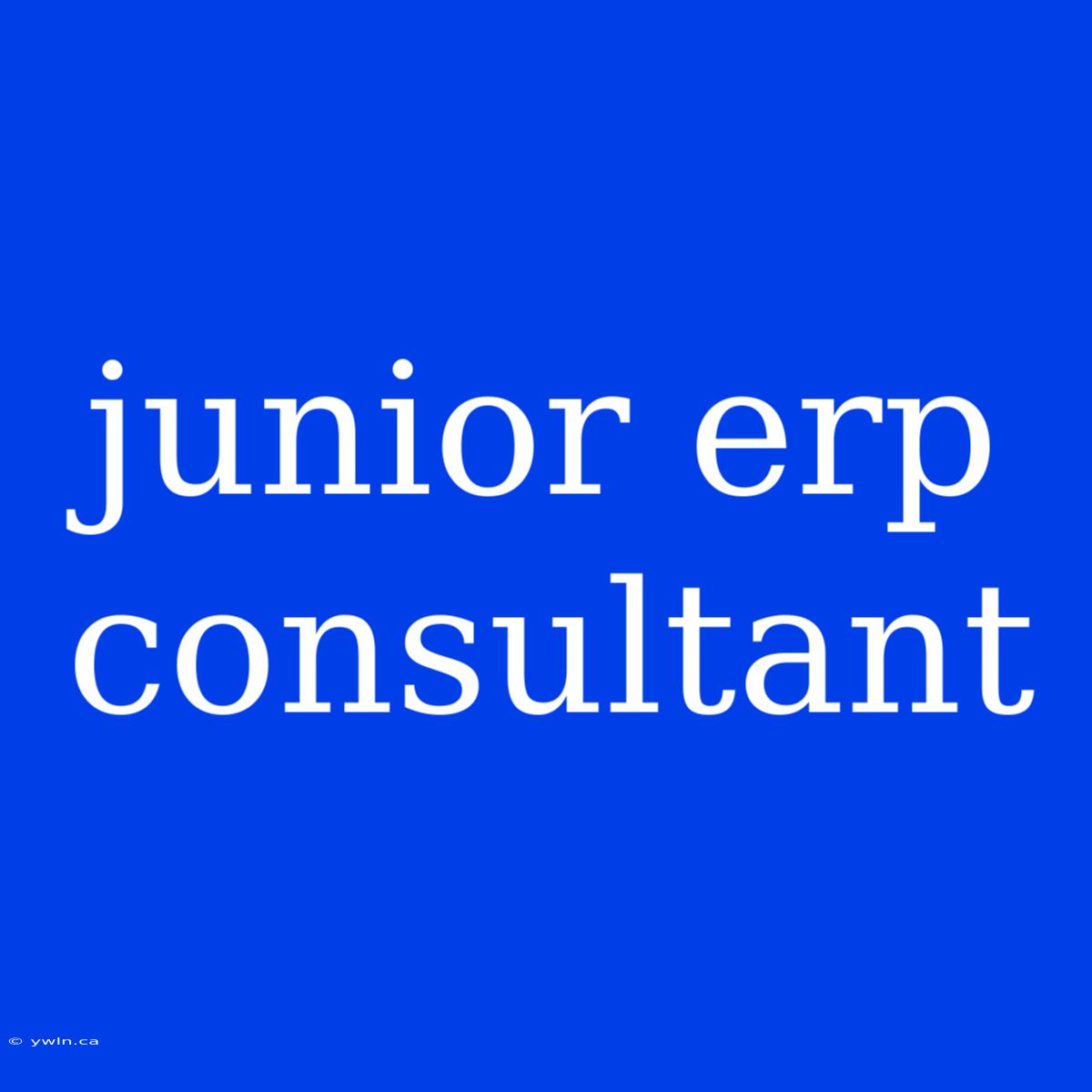 Junior Erp Consultant