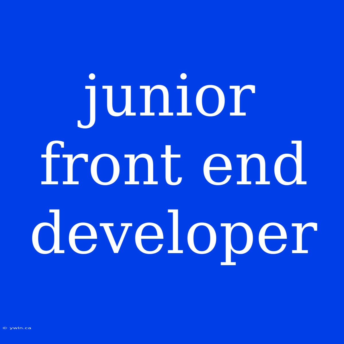 Junior Front End Developer