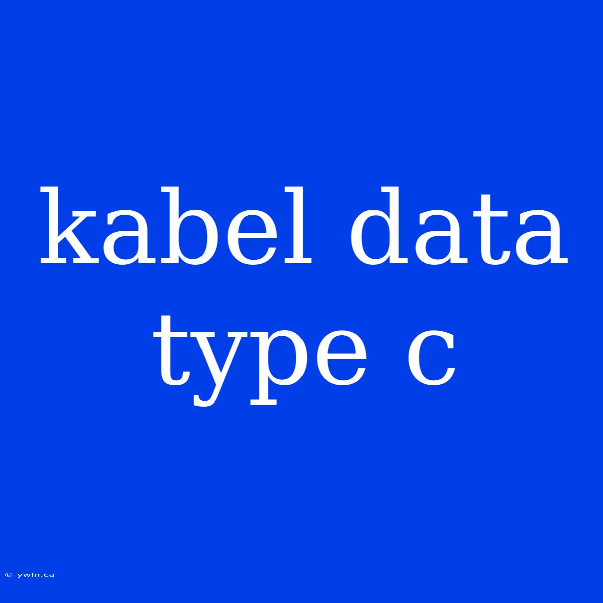 Kabel Data Type C