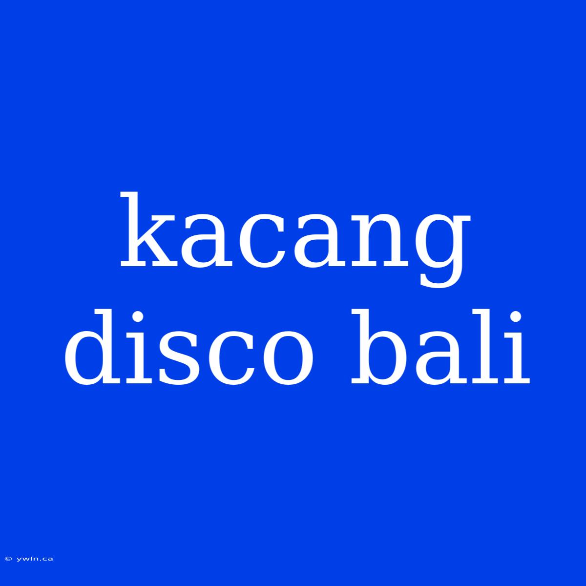 Kacang Disco Bali