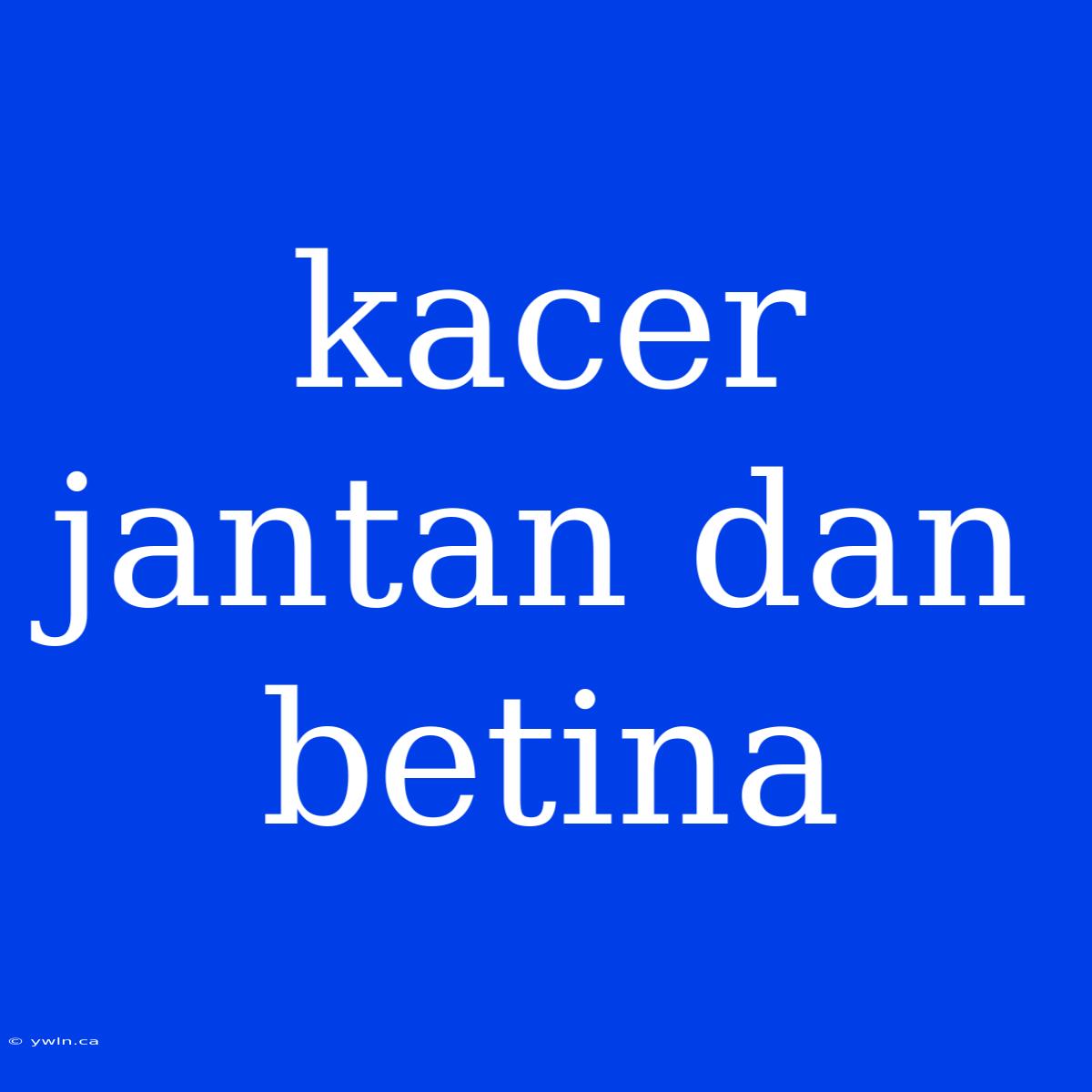 Kacer Jantan Dan Betina