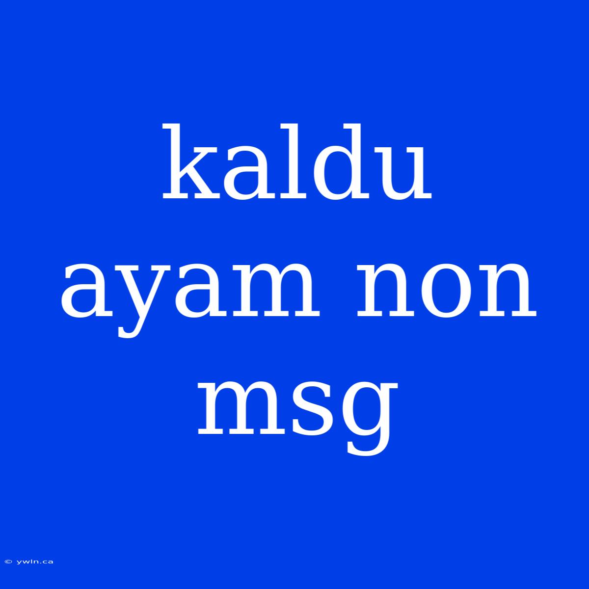 Kaldu Ayam Non Msg