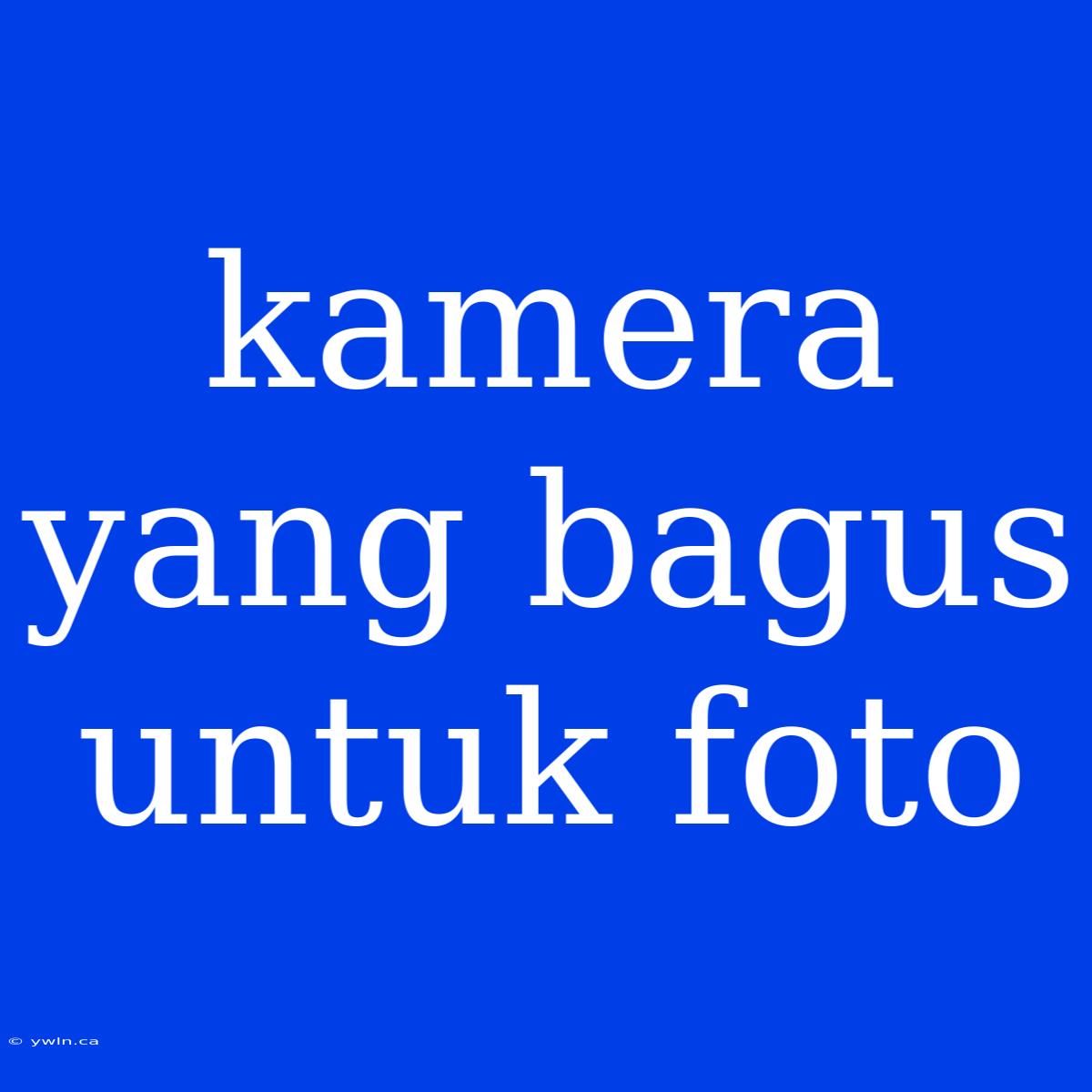 Kamera Yang Bagus Untuk Foto