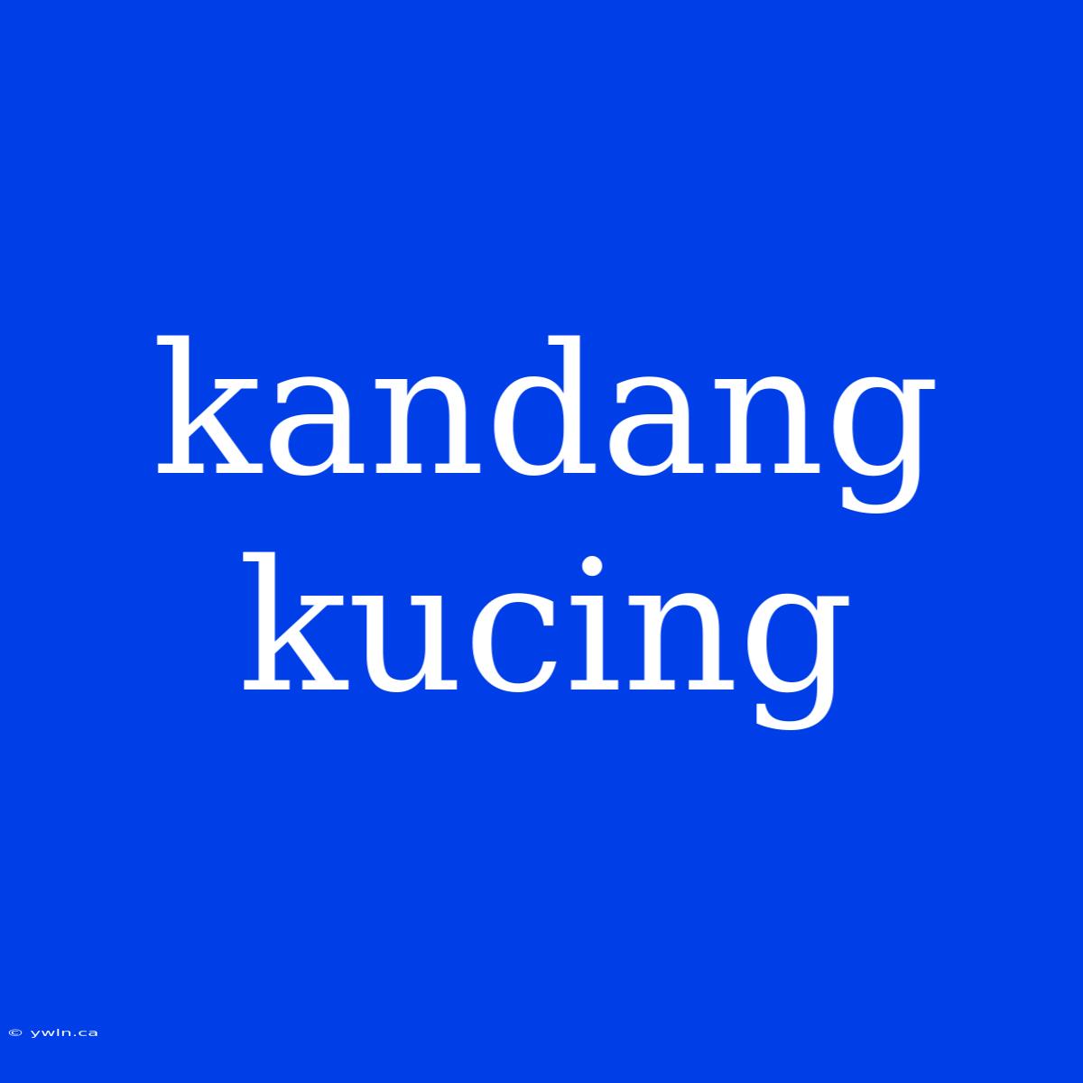 Kandang Kucing