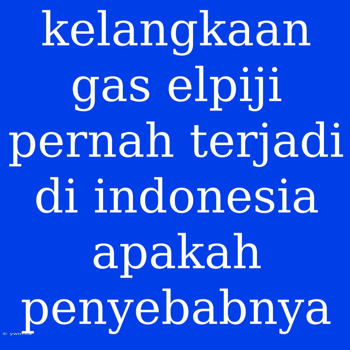 Kelangkaan Gas Elpiji Pernah Terjadi Di Indonesia Apakah Penyebabnya