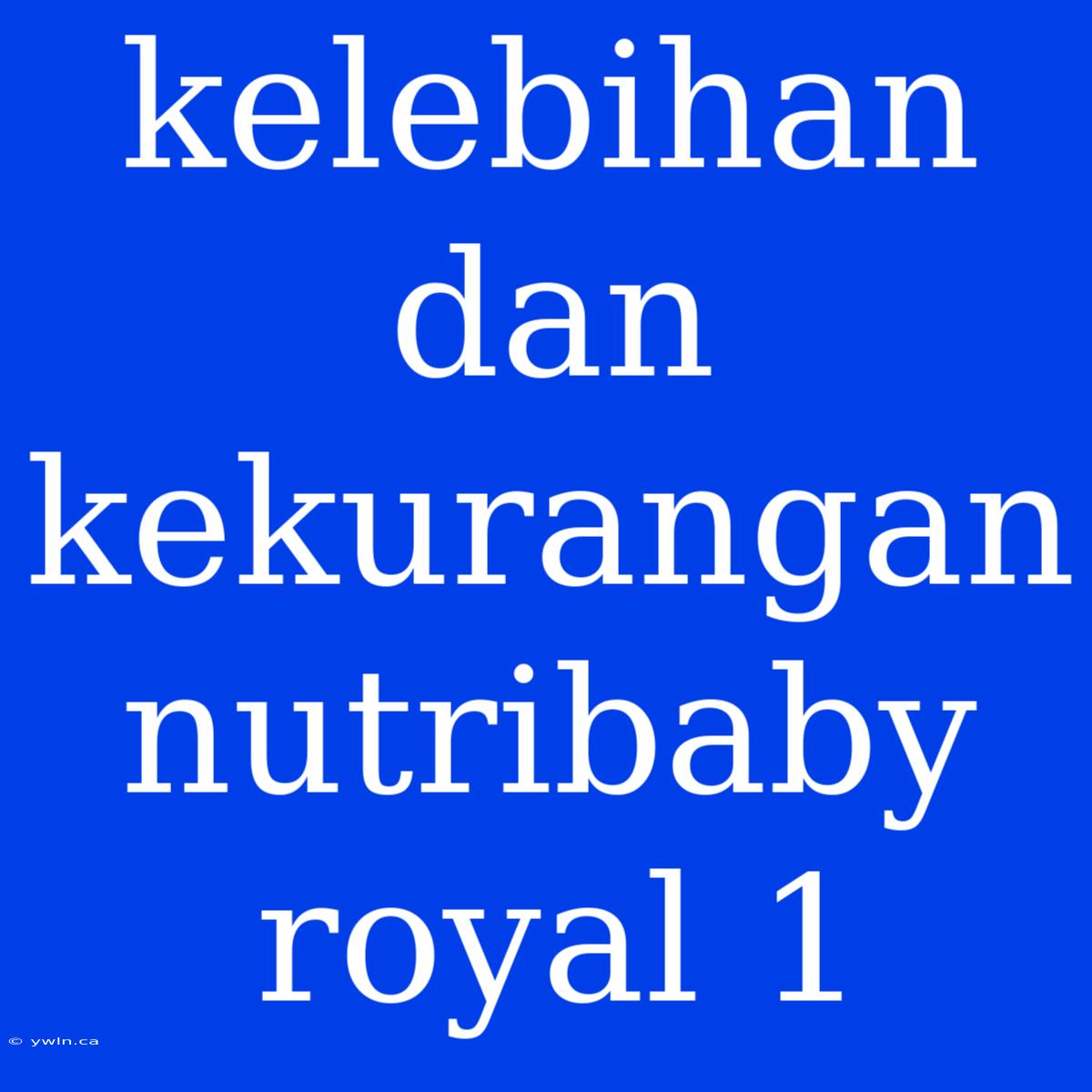 Kelebihan Dan Kekurangan Nutribaby Royal 1