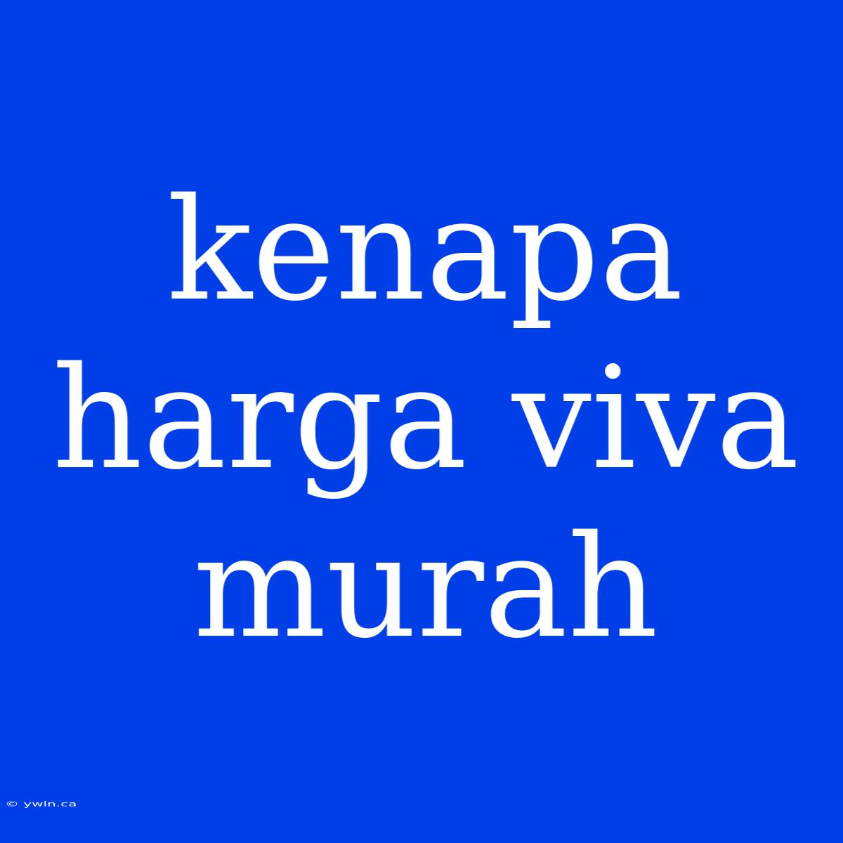 Kenapa Harga Viva Murah