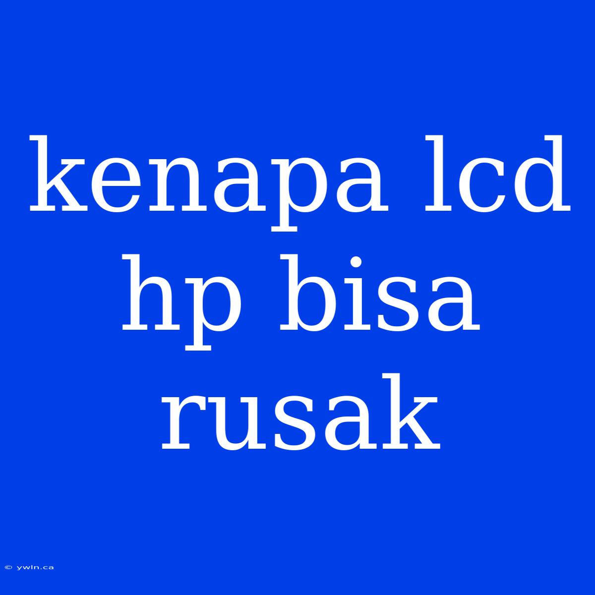 Kenapa Lcd Hp Bisa Rusak