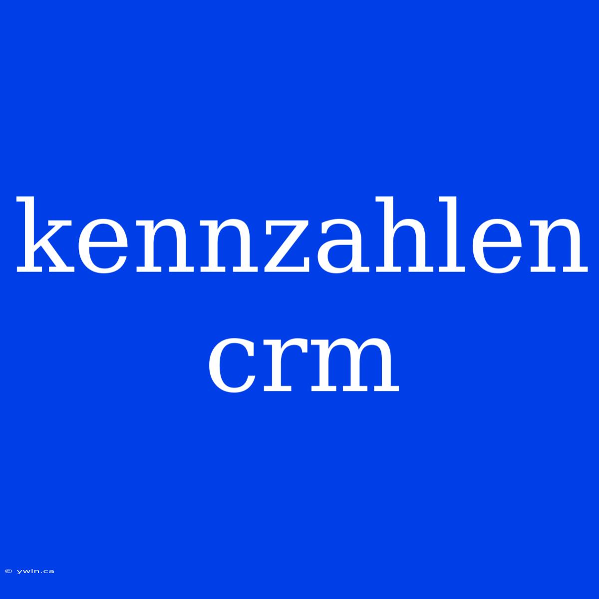 Kennzahlen Crm