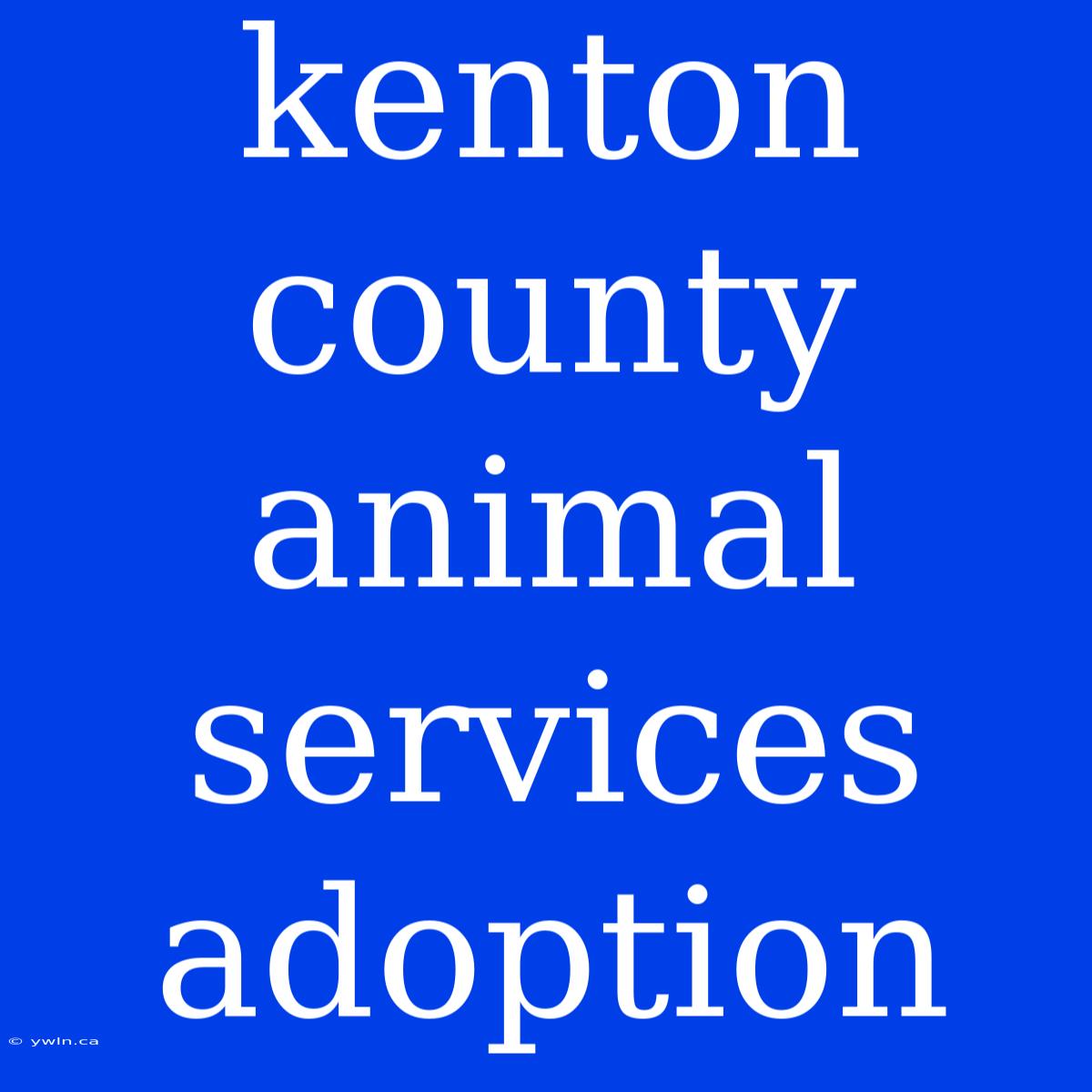 Kenton County Animal Services Adoption