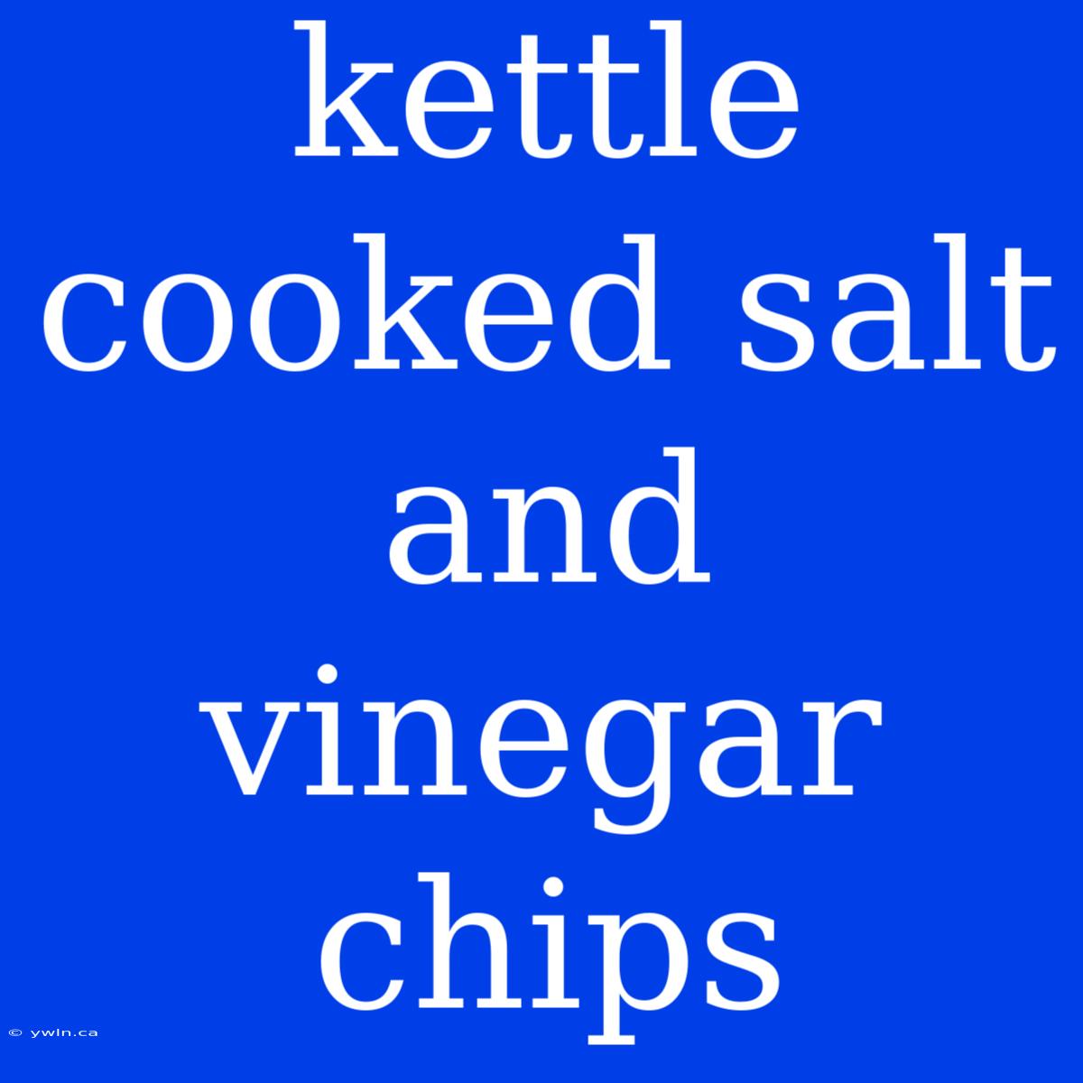 Kettle Cooked Salt And Vinegar Chips