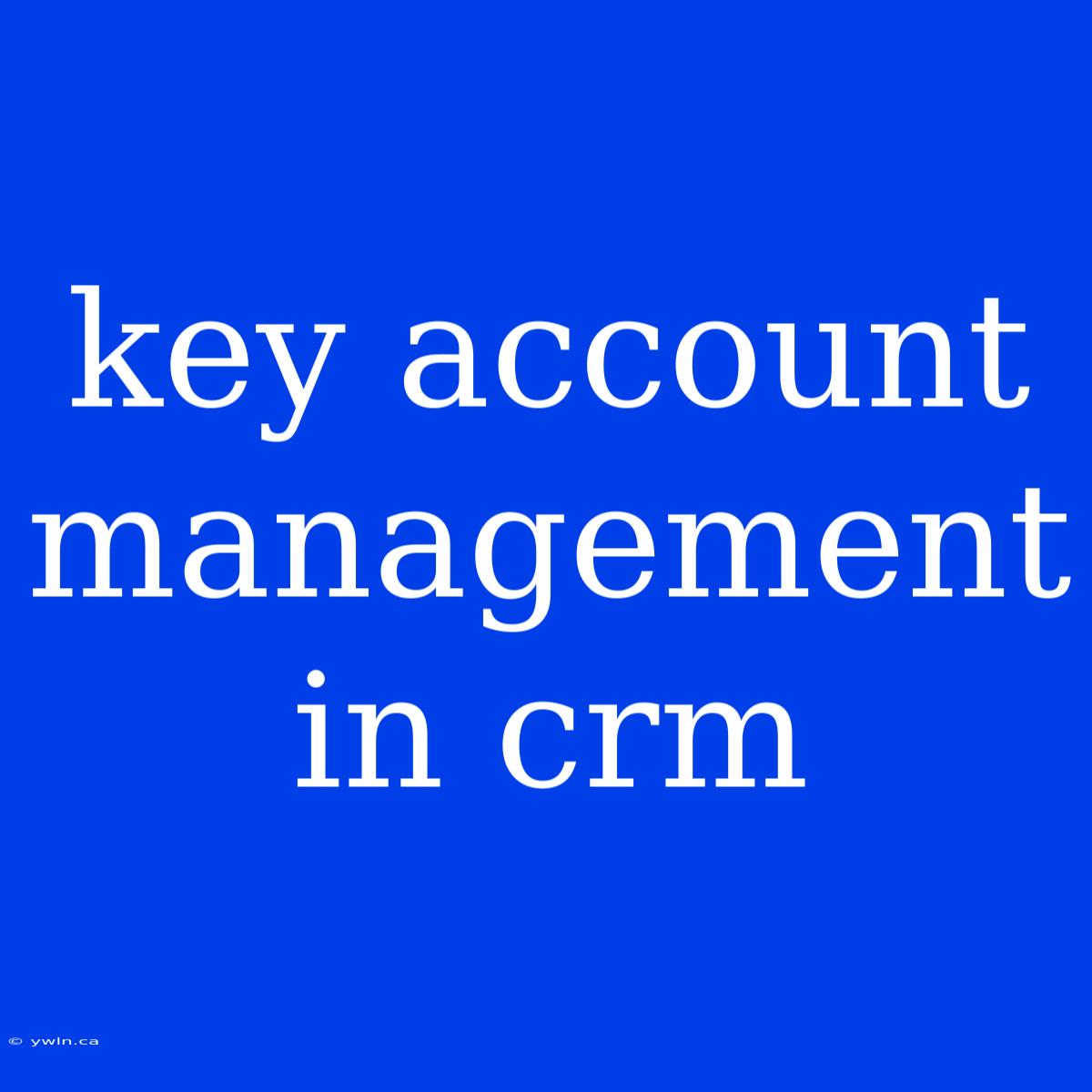 Key Account Management In Crm