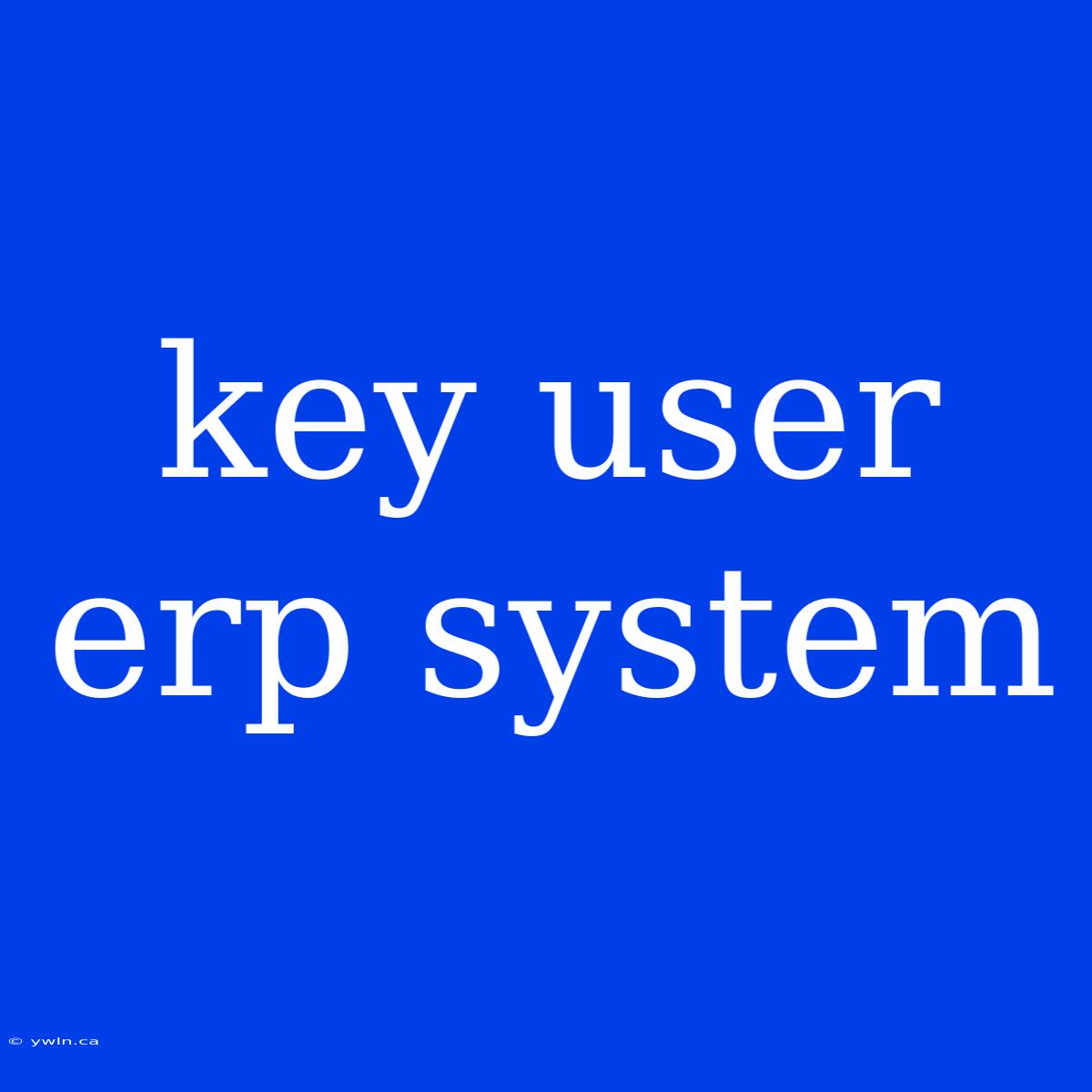 Key User Erp System