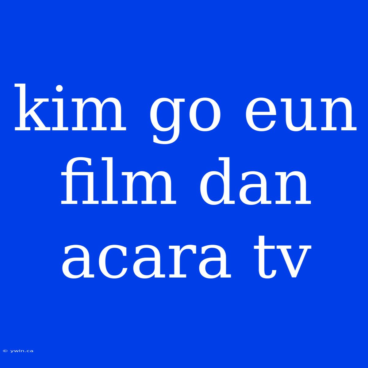 Kim Go Eun Film Dan Acara Tv