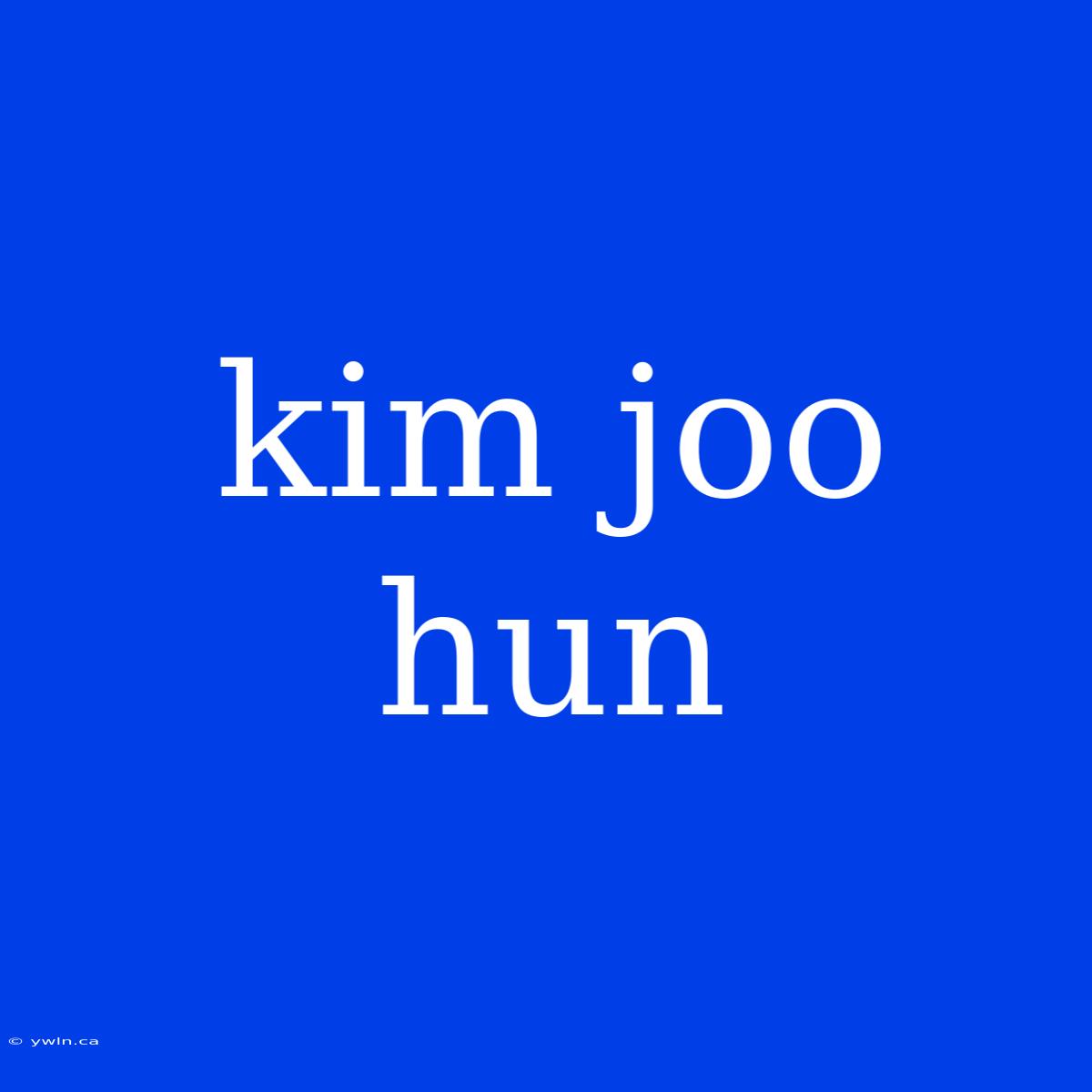 Kim Joo Hun