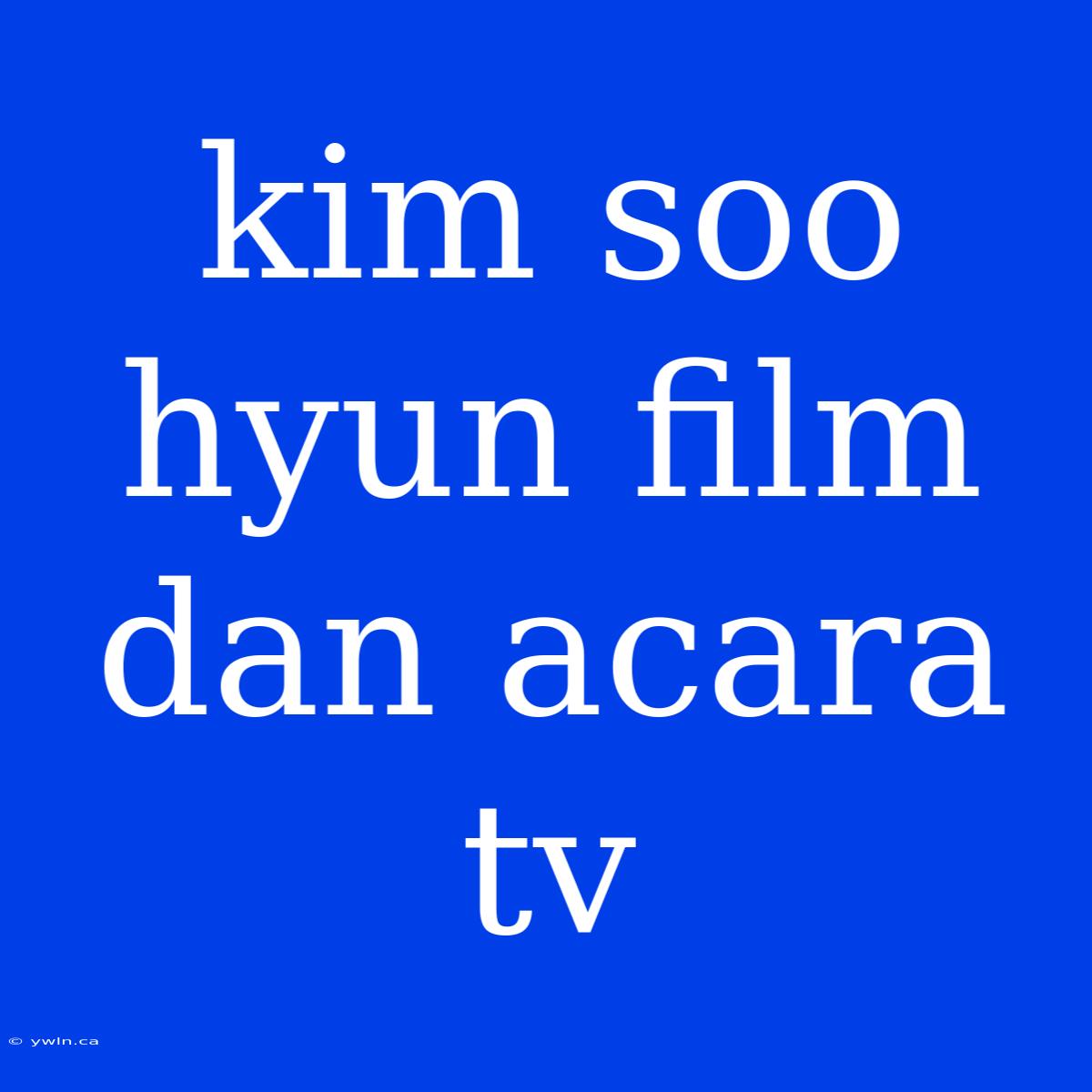 Kim Soo Hyun Film Dan Acara Tv