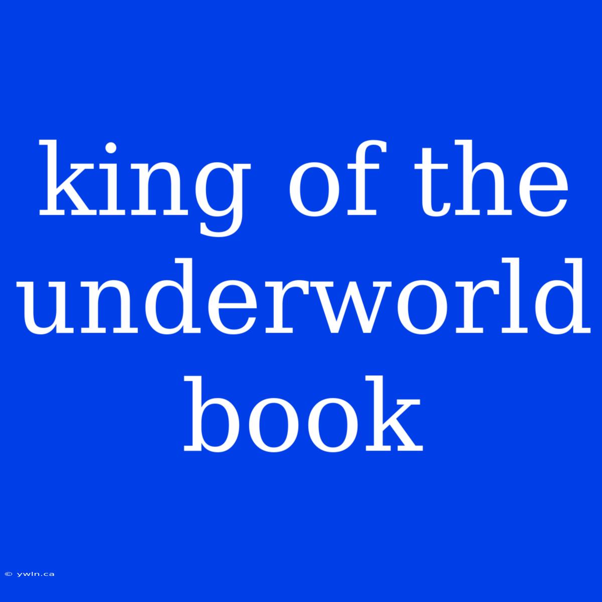 King Of The Underworld Book