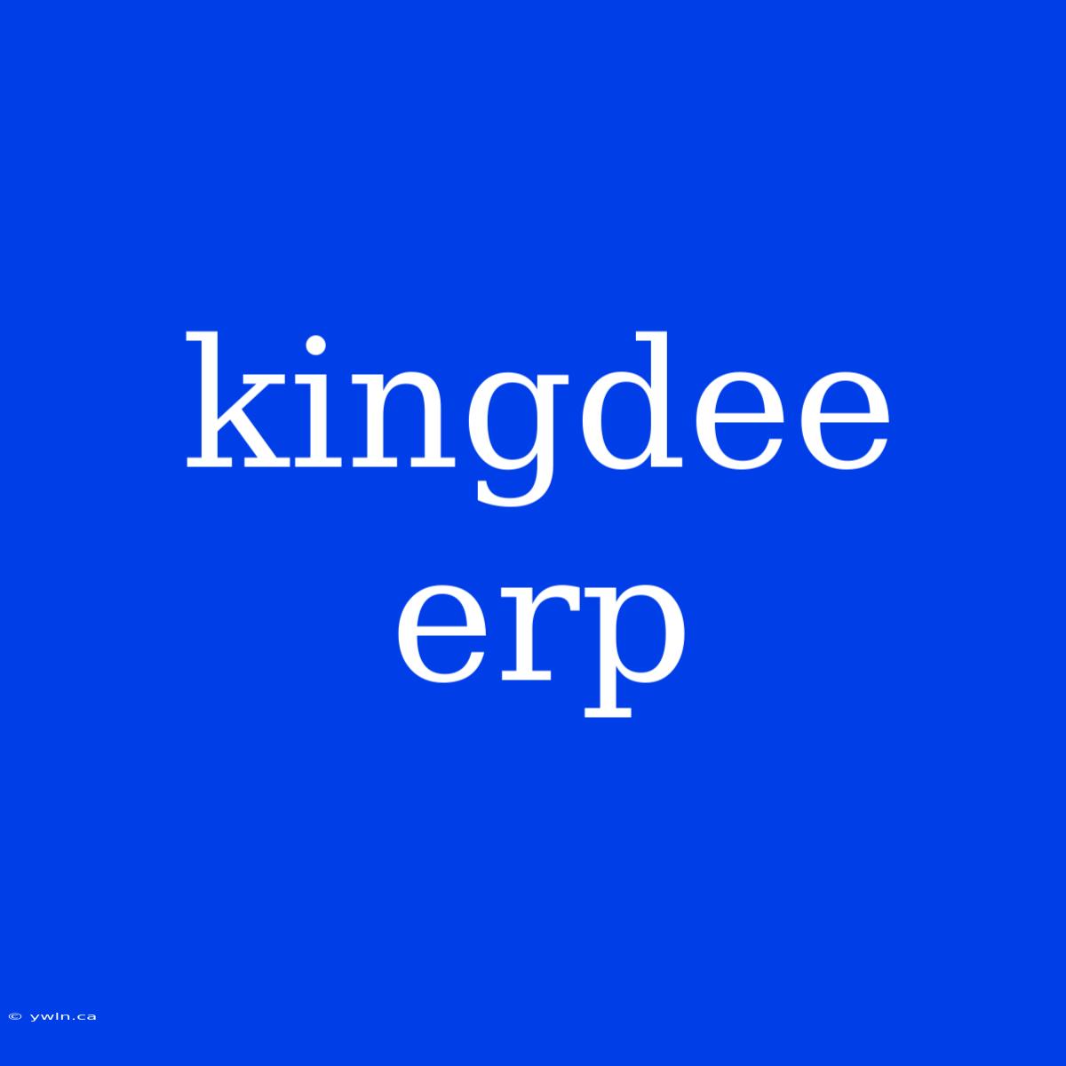 Kingdee Erp