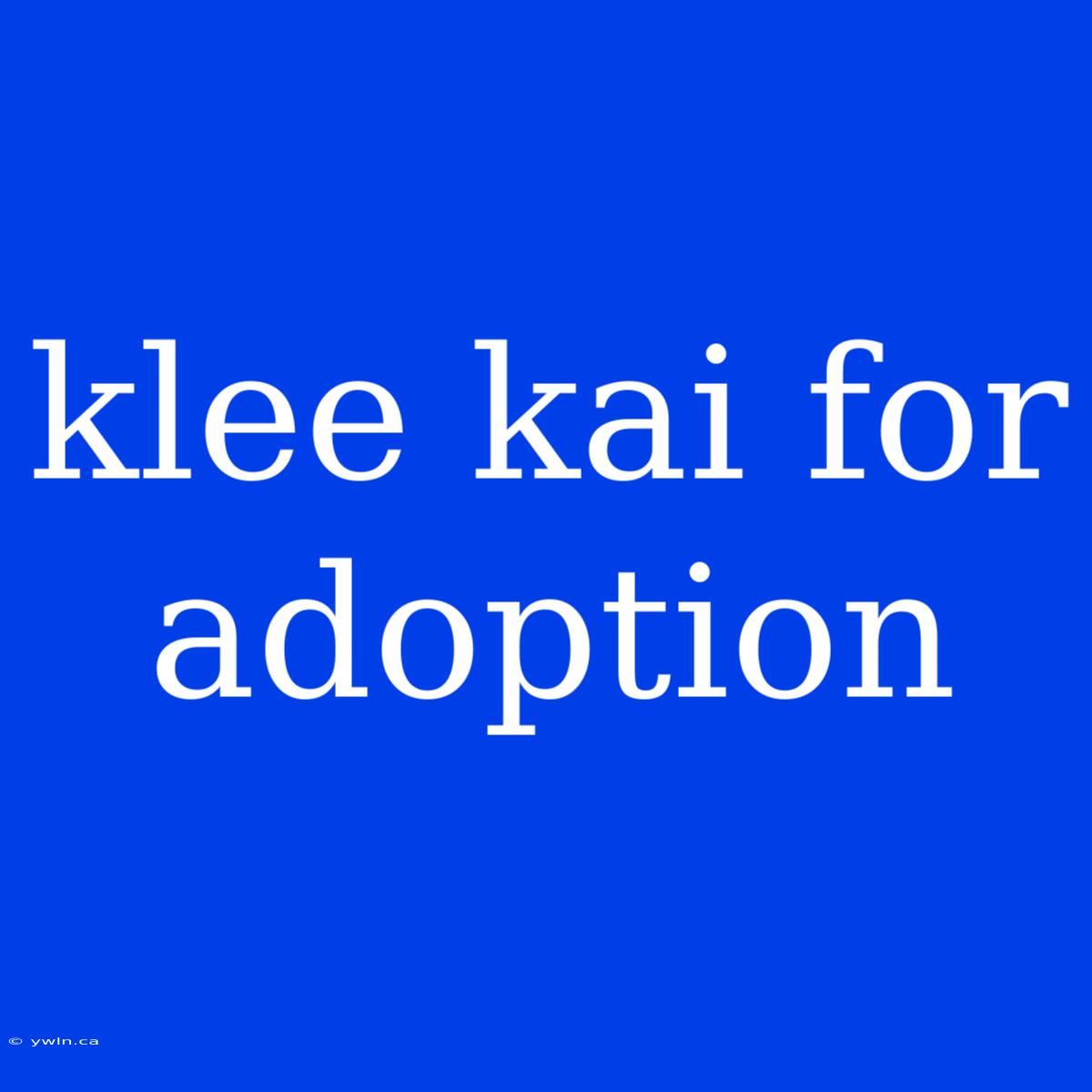 Klee Kai For Adoption