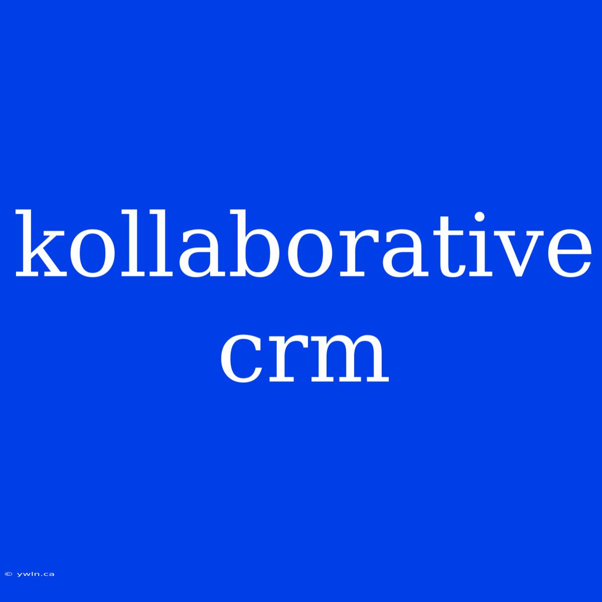 Kollaborative Crm