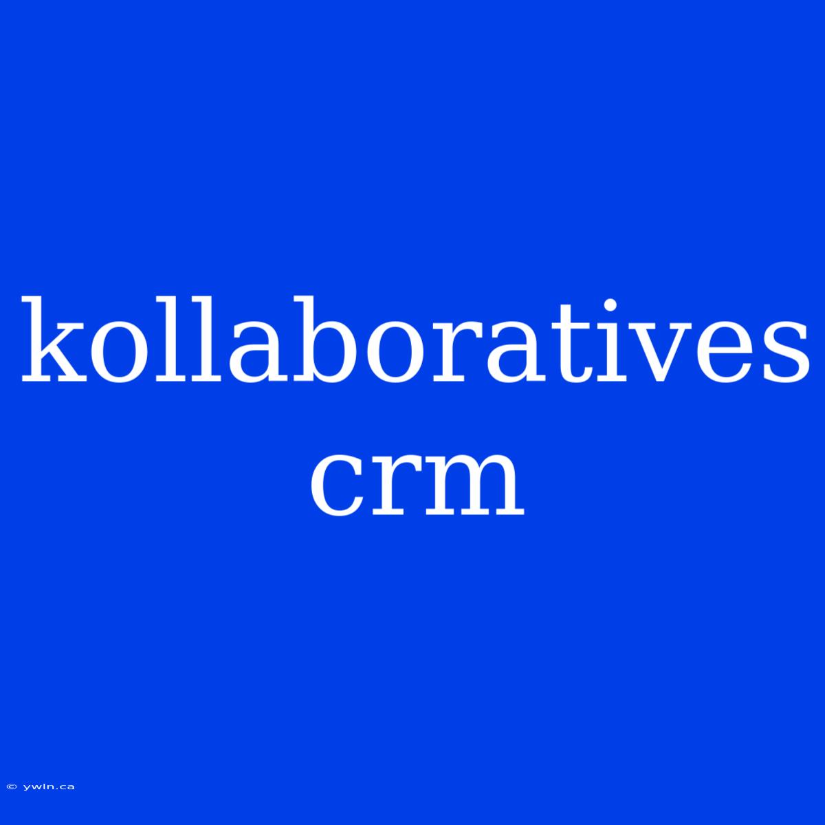 Kollaboratives Crm