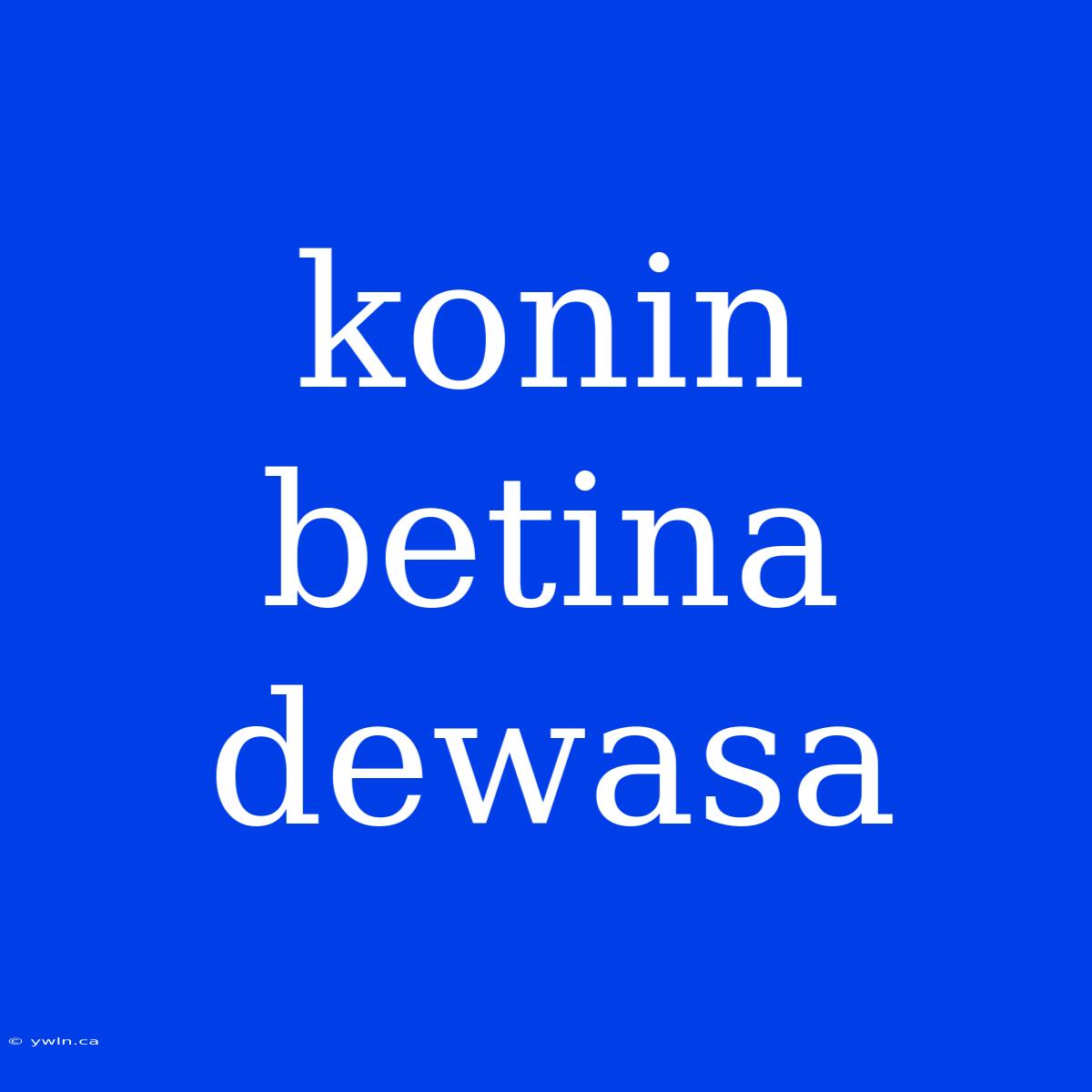 Konin Betina Dewasa