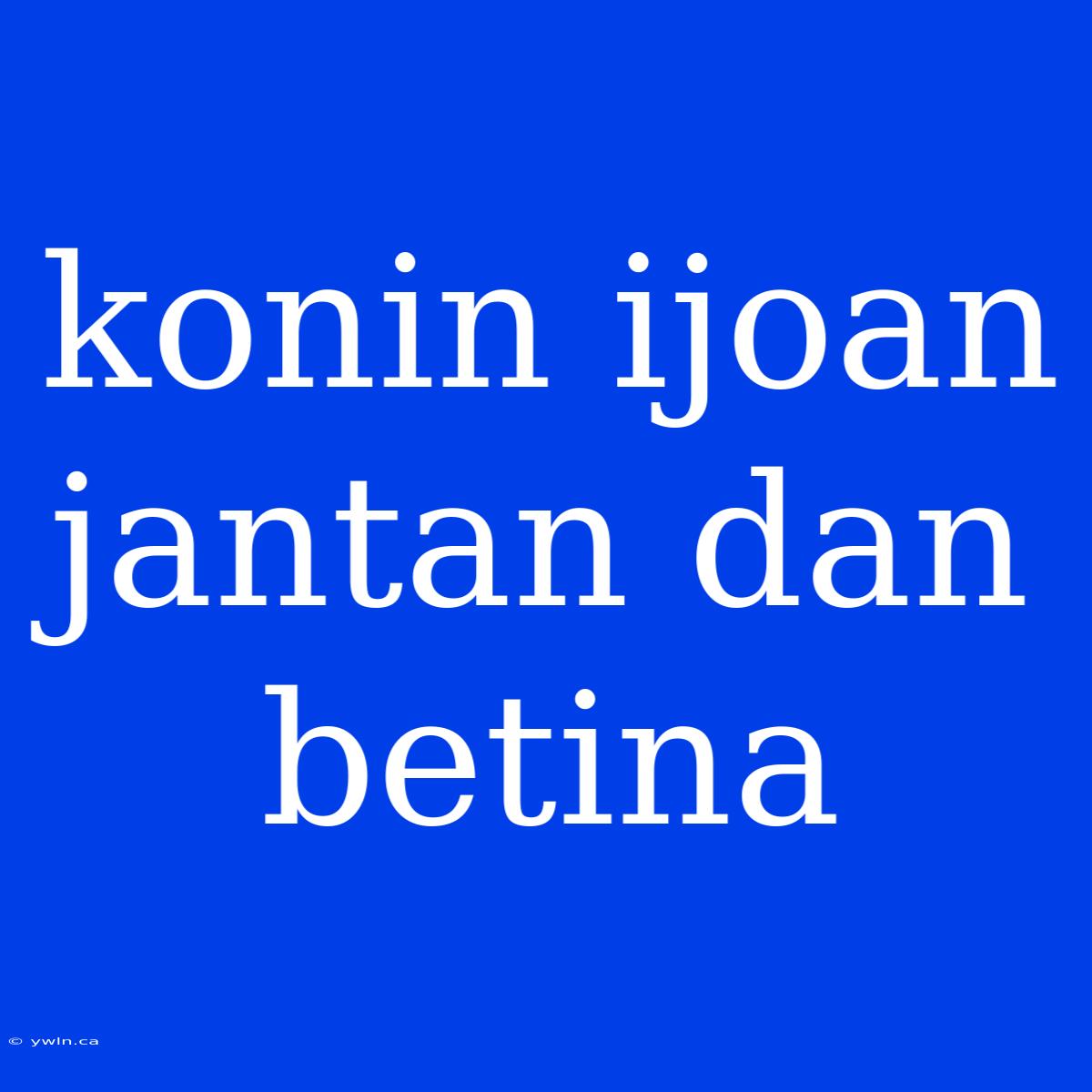 Konin Ijoan Jantan Dan Betina