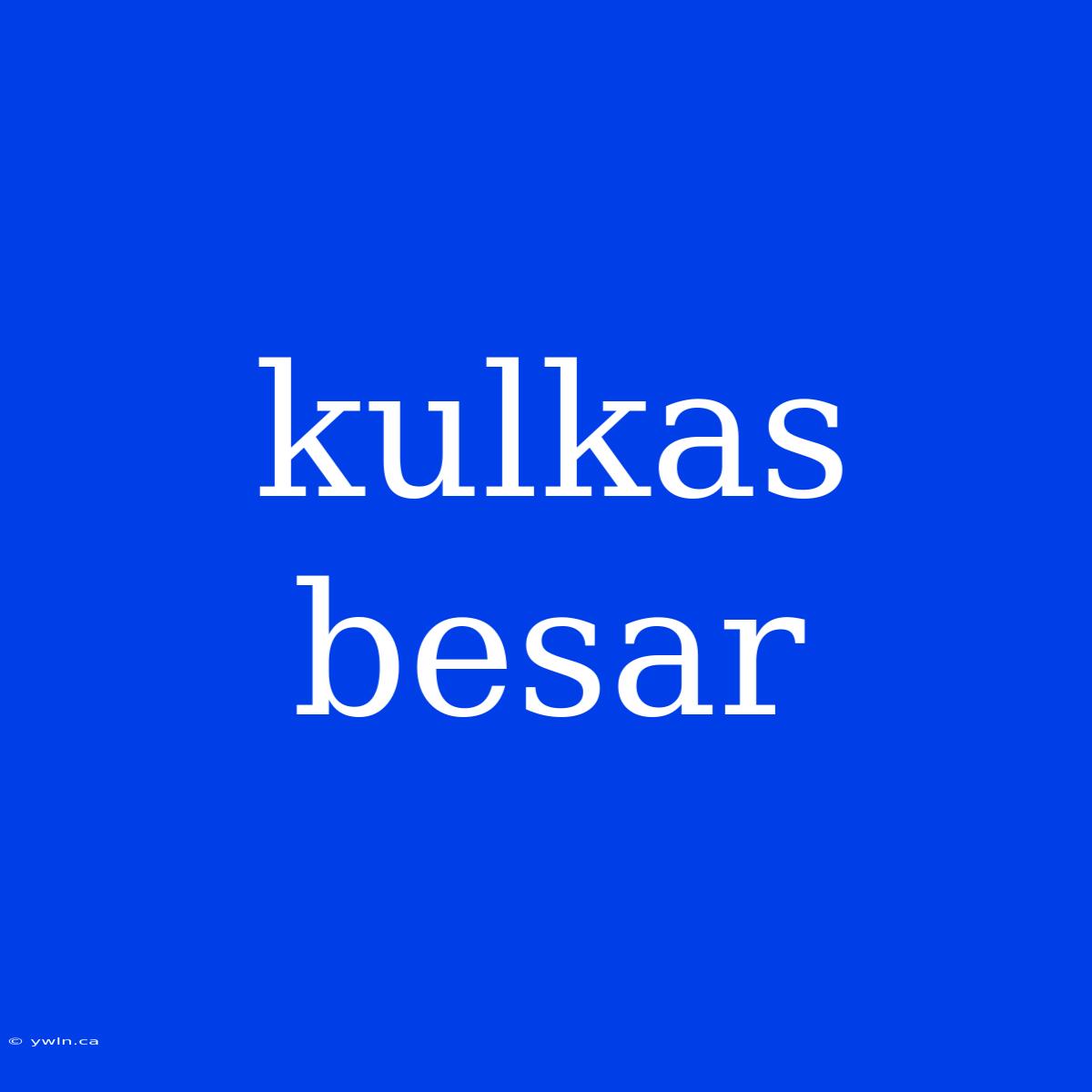 Kulkas Besar