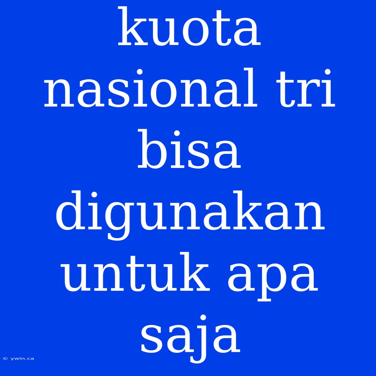 Kuota Nasional Tri Bisa Digunakan Untuk Apa Saja