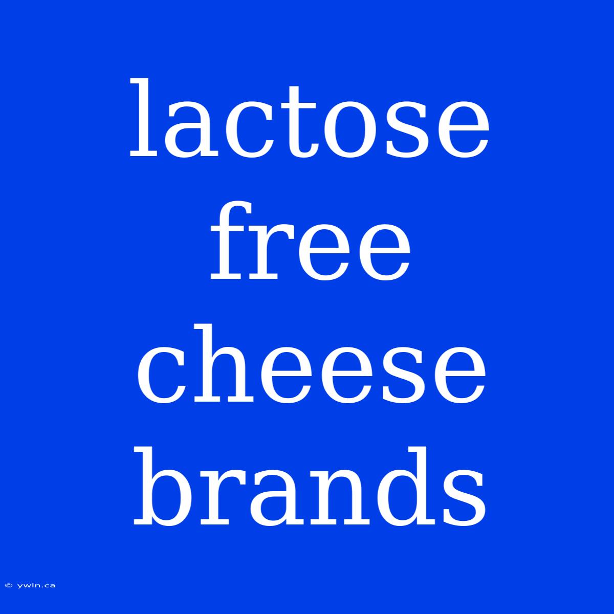 Lactose Free Cheese Brands