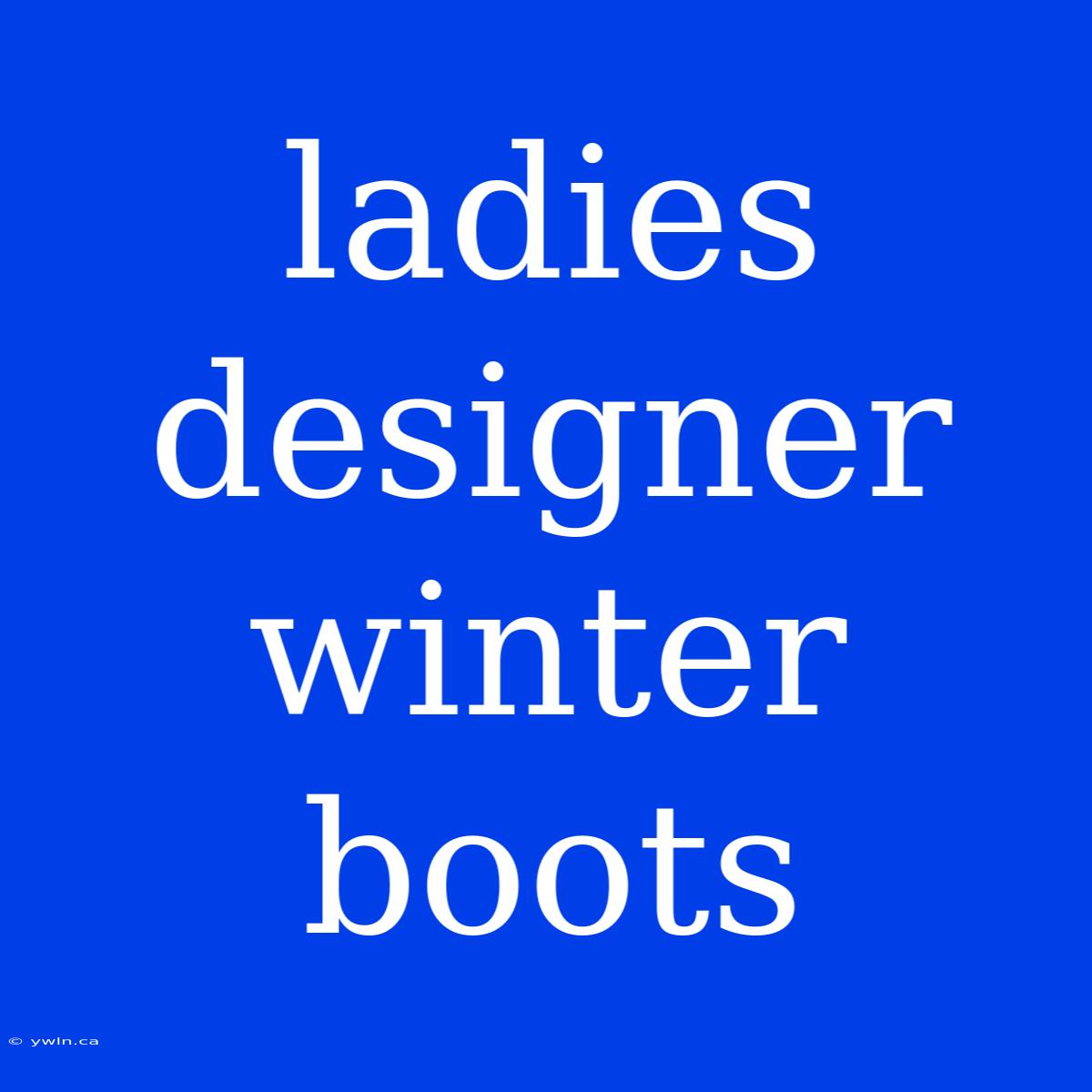 Ladies Designer Winter Boots