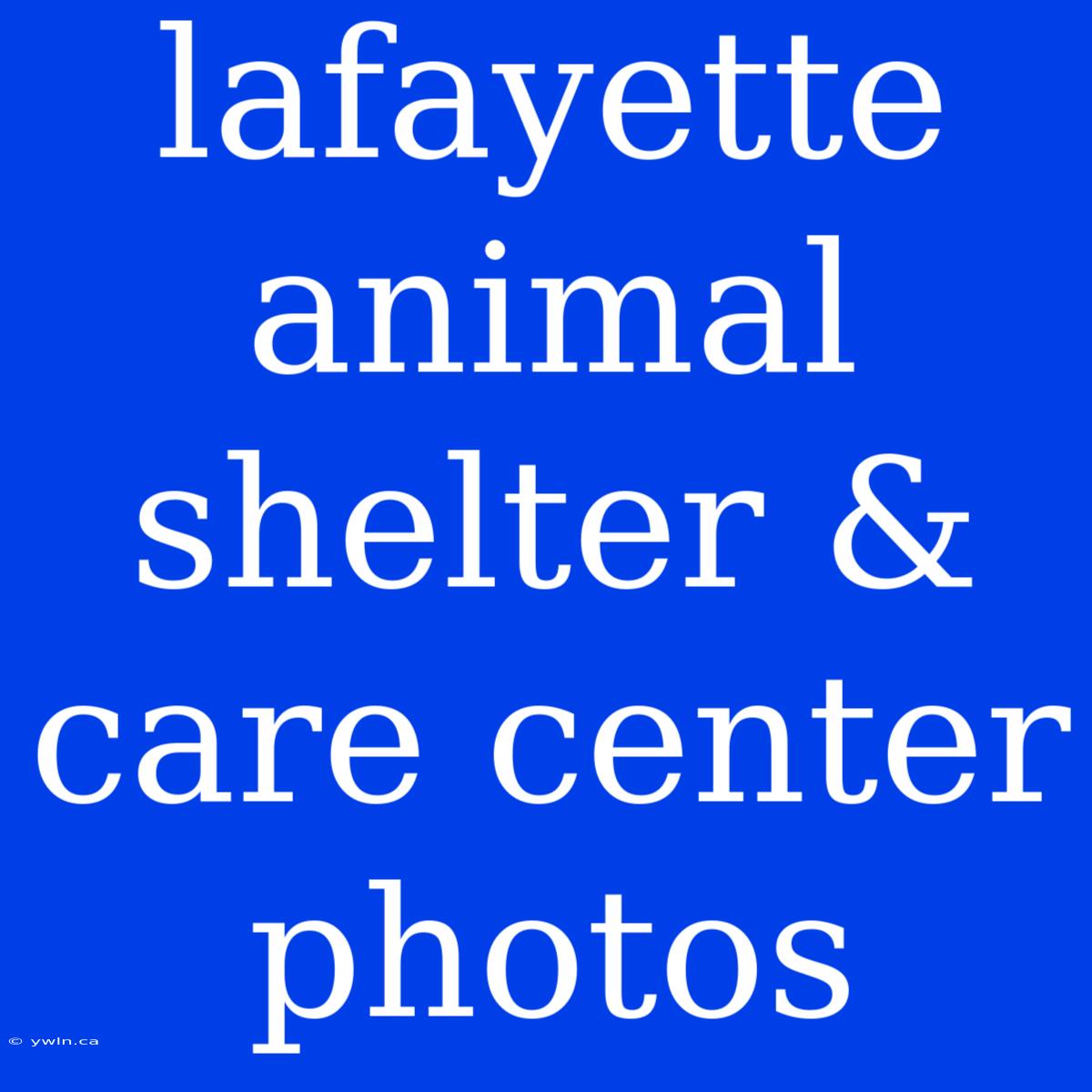 Lafayette Animal Shelter & Care Center Photos