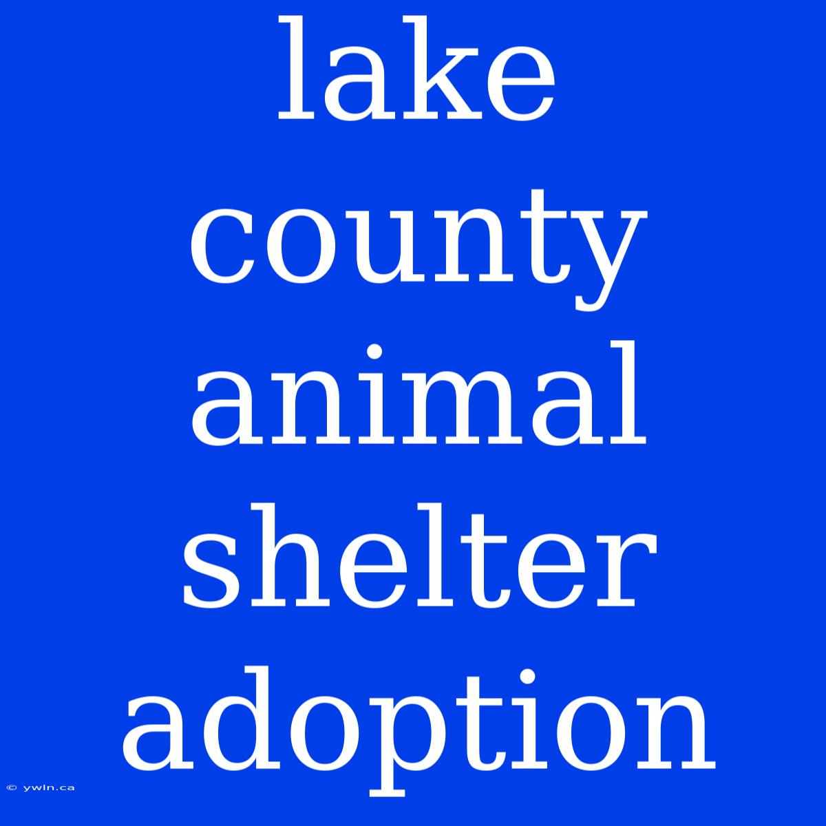 Lake County Animal Shelter Adoption