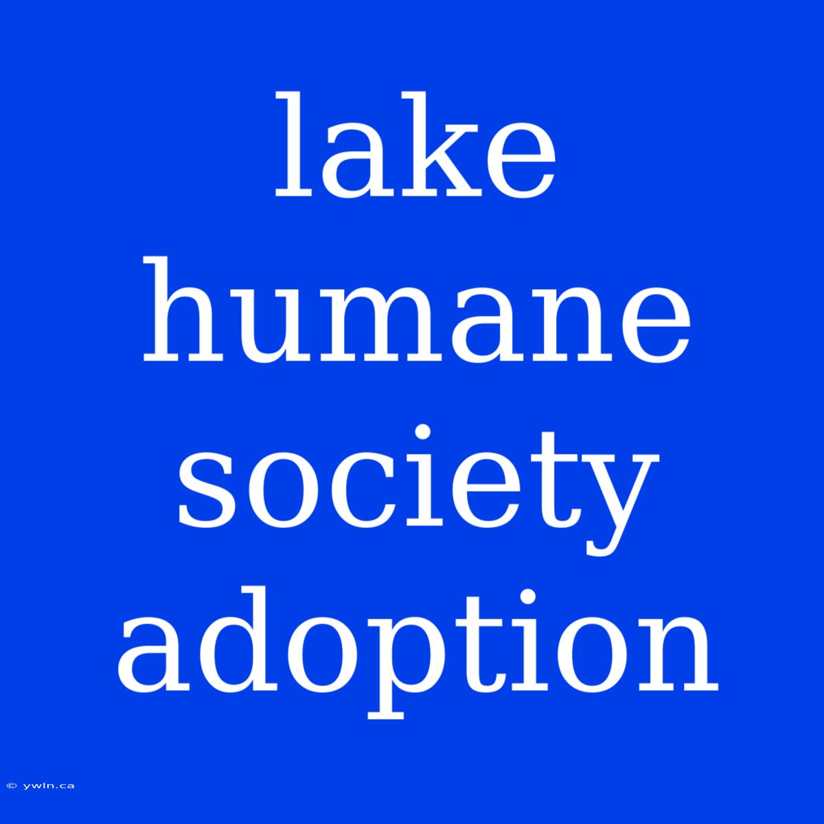 Lake Humane Society Adoption