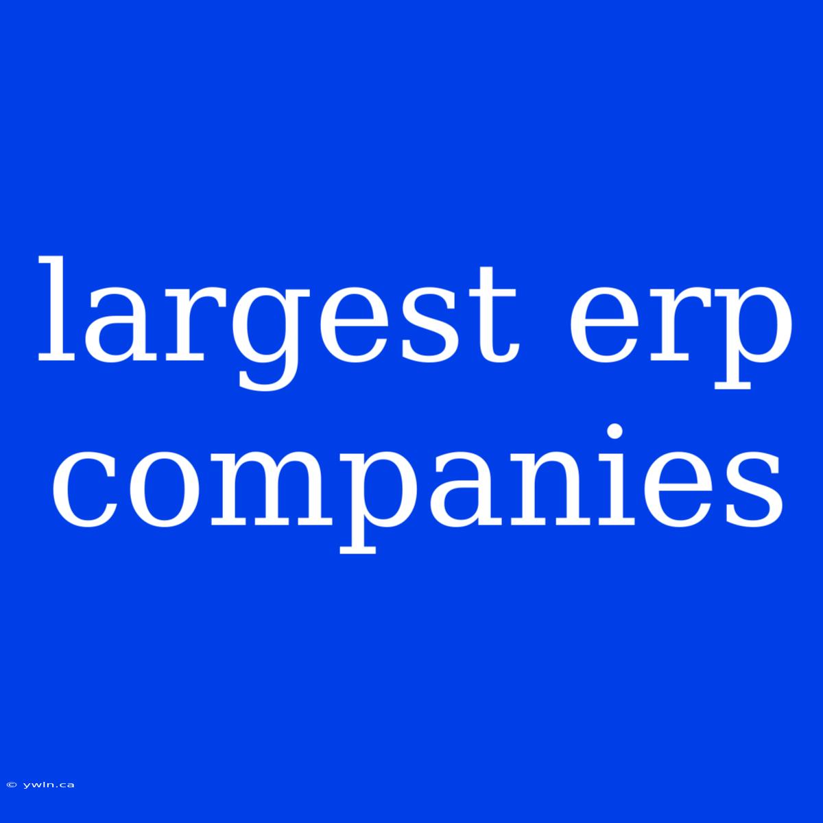 Largest Erp Companies