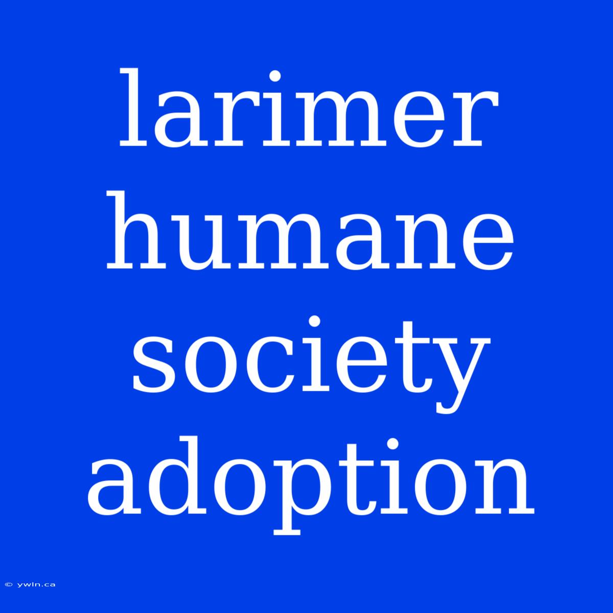 Larimer Humane Society Adoption