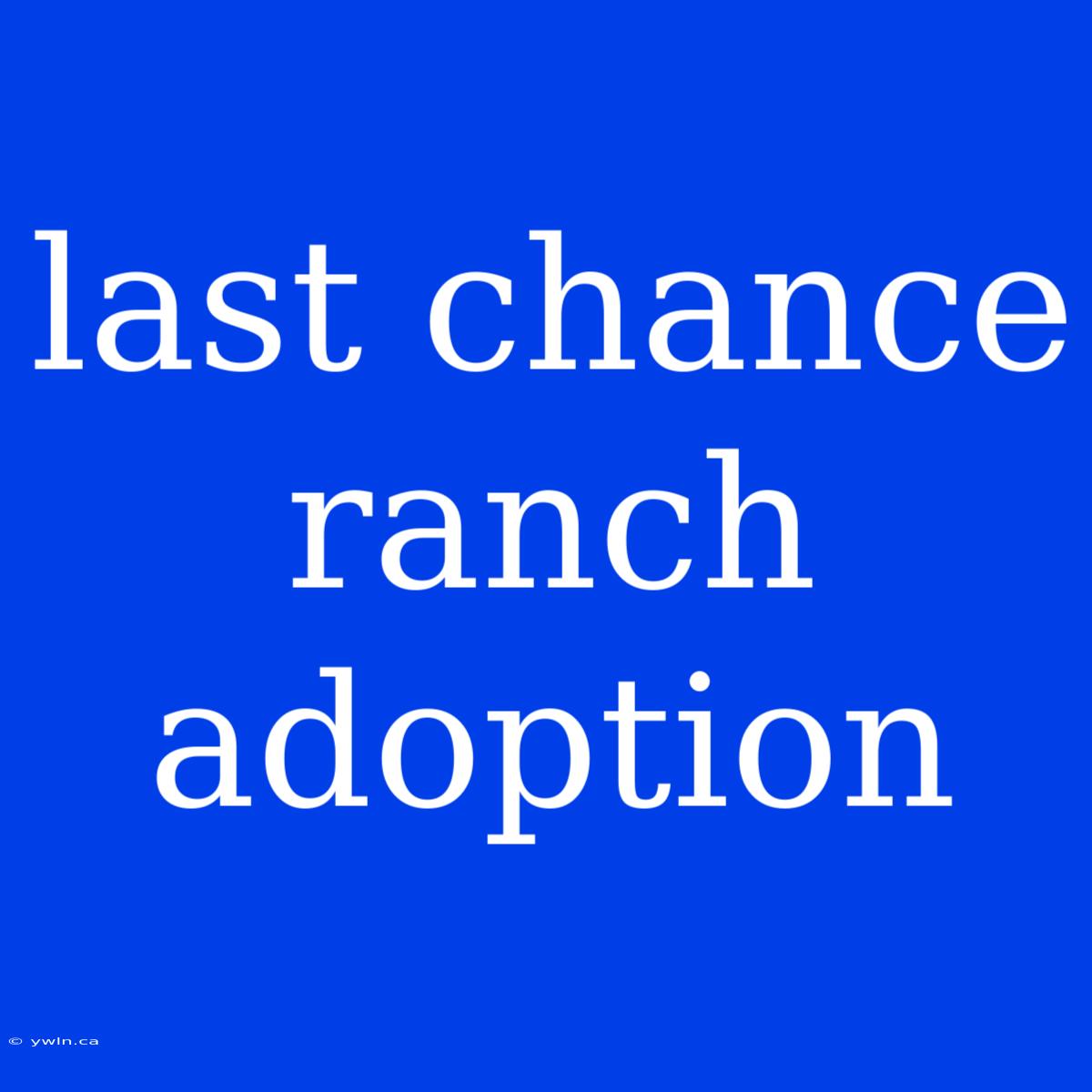 Last Chance Ranch Adoption