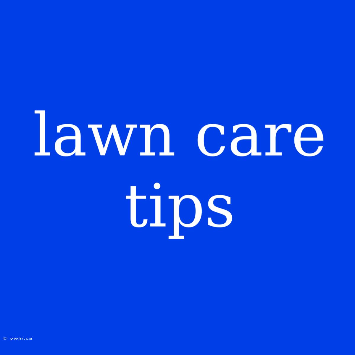 Lawn Care Tips