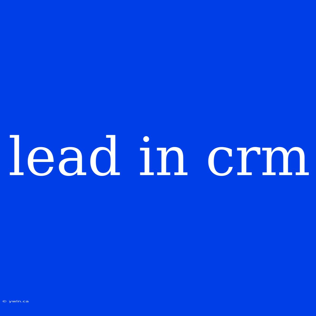 Lead In Crm