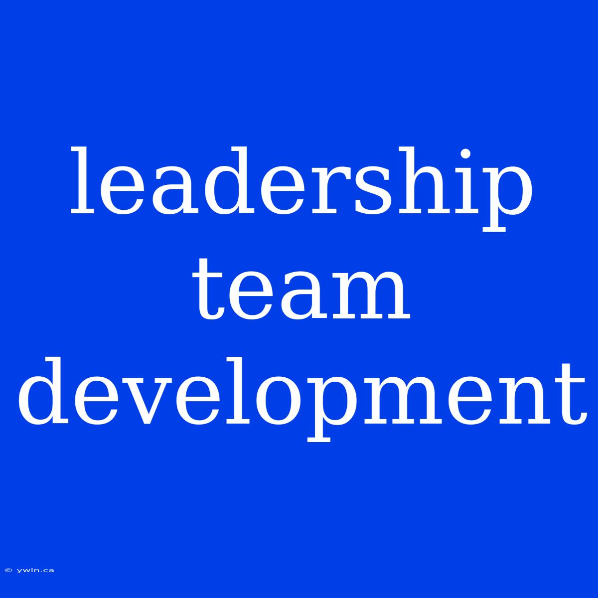 Leadership Team Development