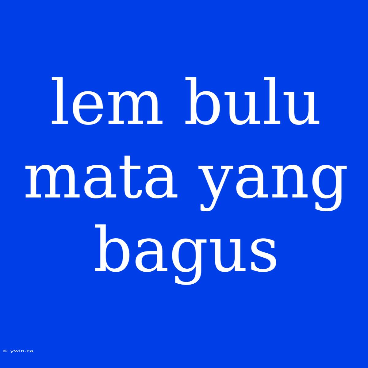 Lem Bulu Mata Yang Bagus