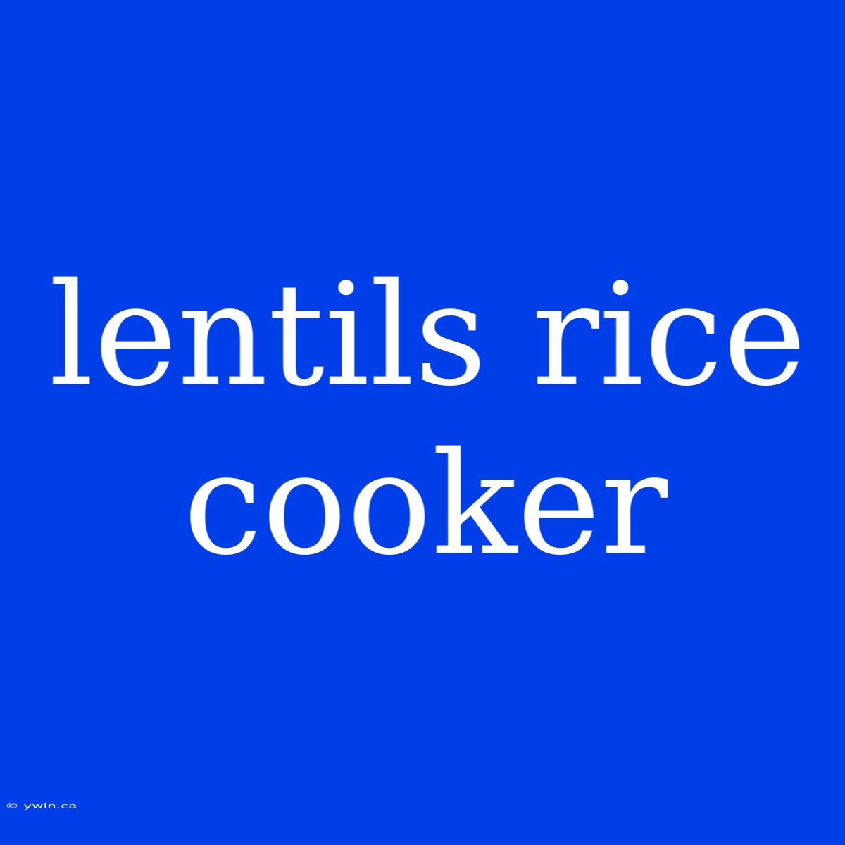 Lentils Rice Cooker