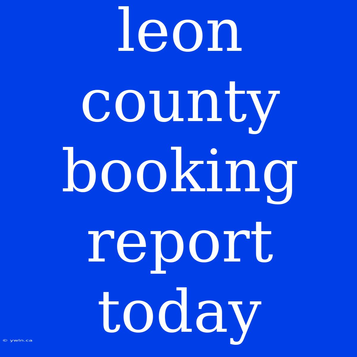 Leon County Booking Report Today