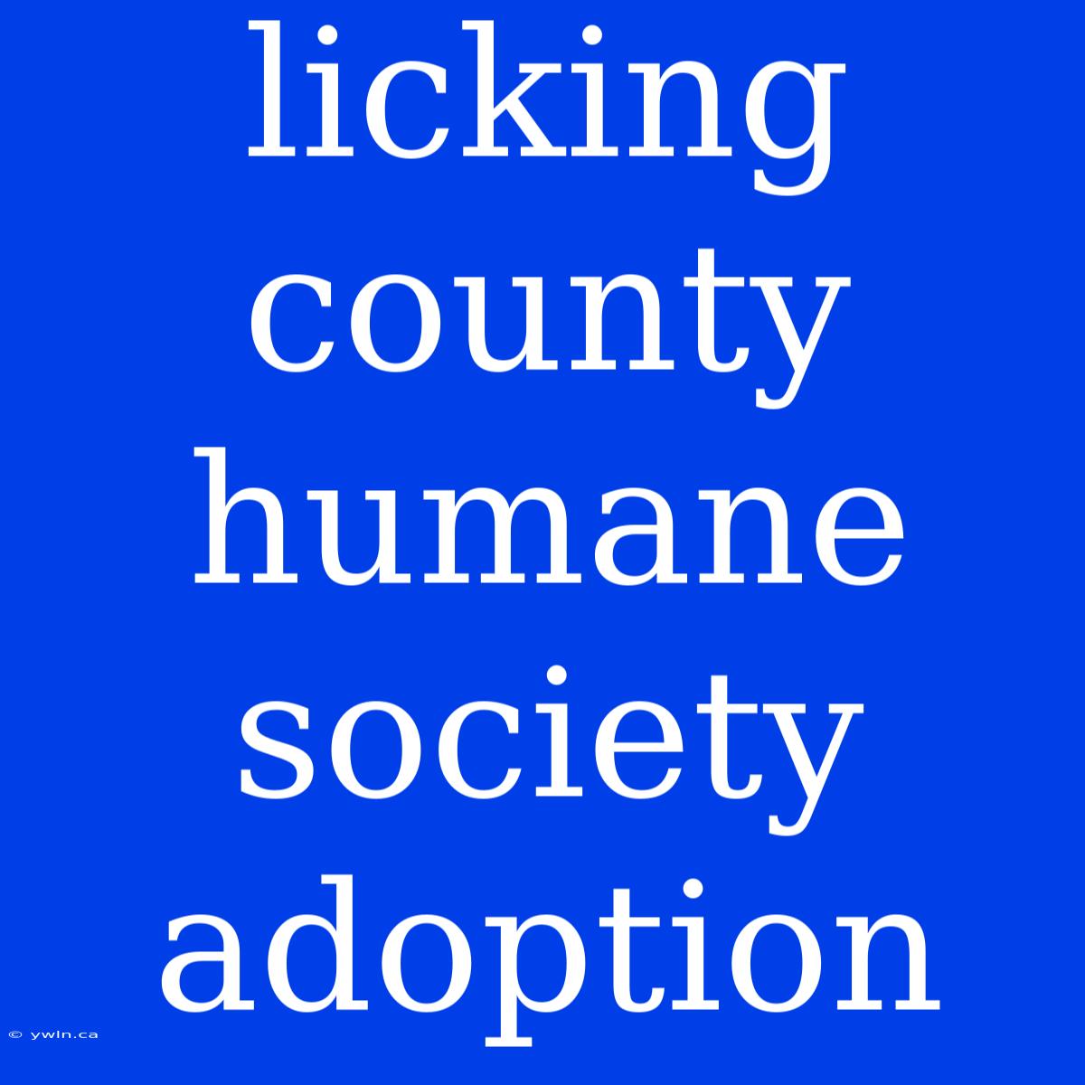 Licking County Humane Society Adoption