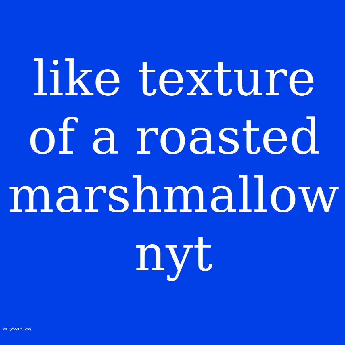 Like Texture Of A Roasted Marshmallow Nyt